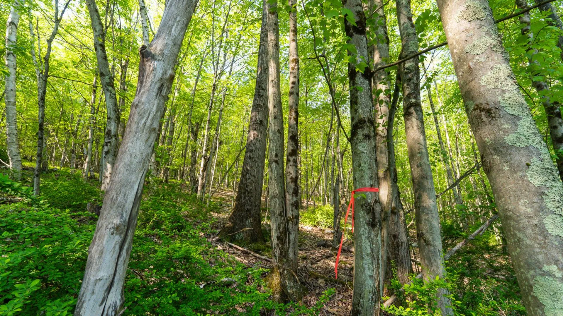 Property at 00WTP Anthony St., Hillsdale, NY 12529 23