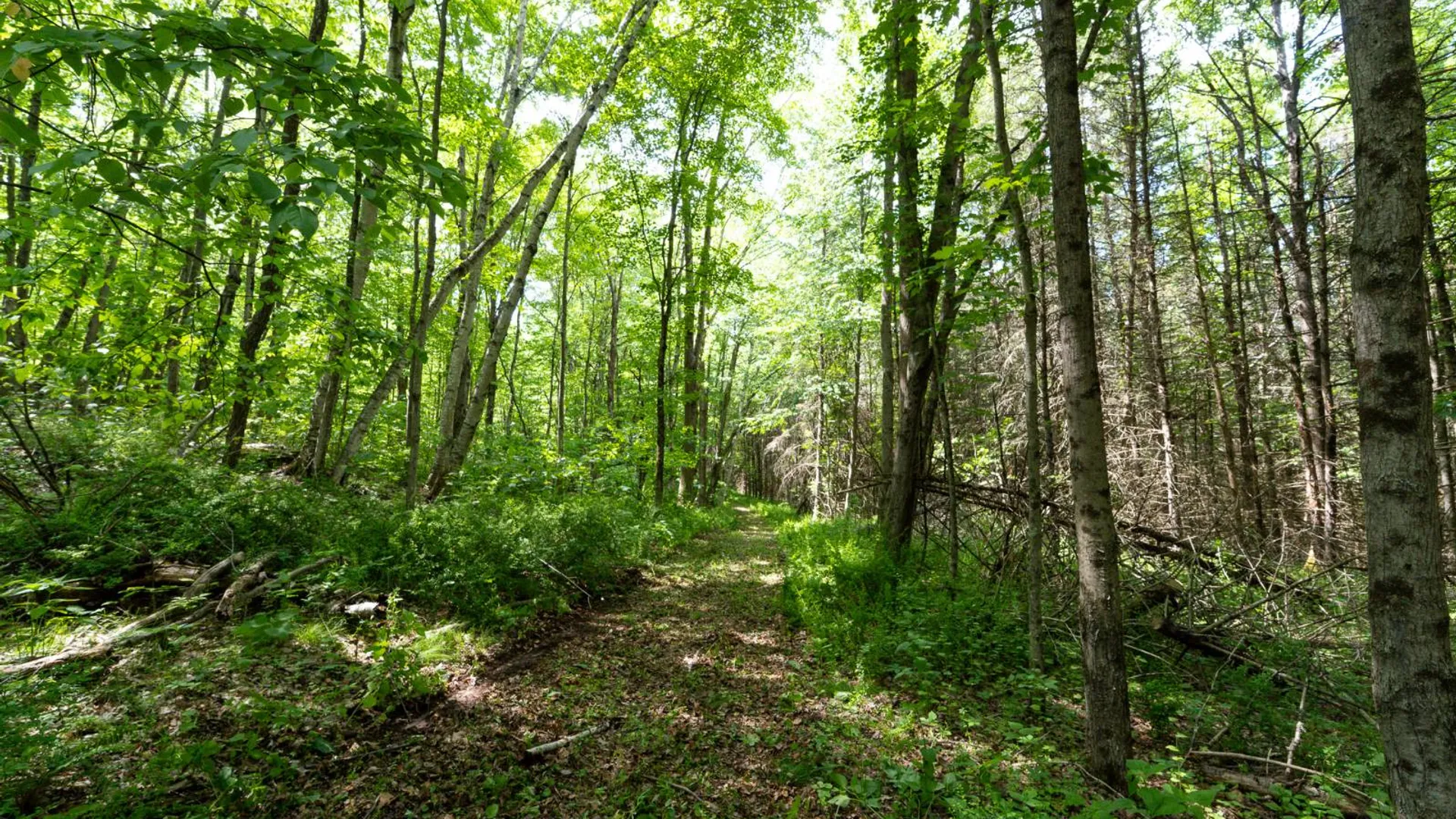 Property at 00WTP Anthony St., Hillsdale, NY 12529 24