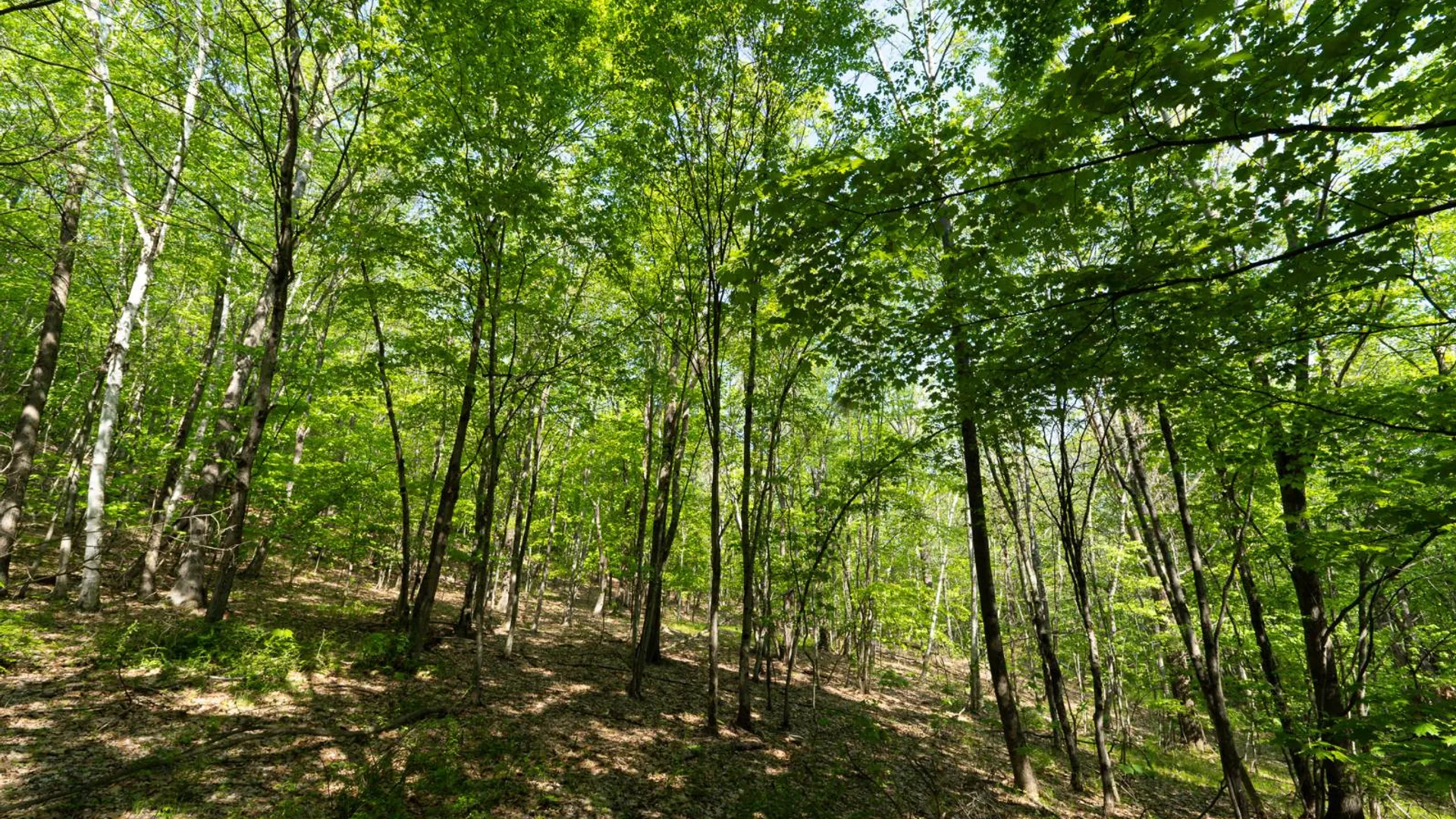 Property at 00WTP Anthony St., Hillsdale, NY 12529 25