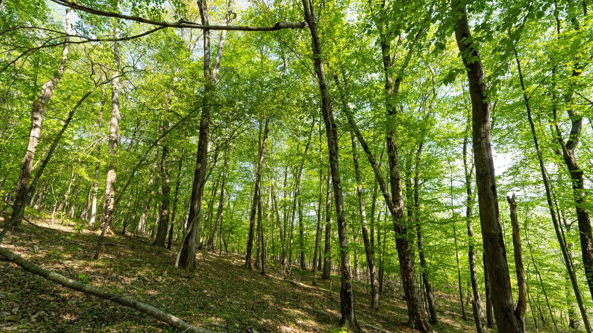 Property at 00WTP Anthony St., Hillsdale, NY 12529 30