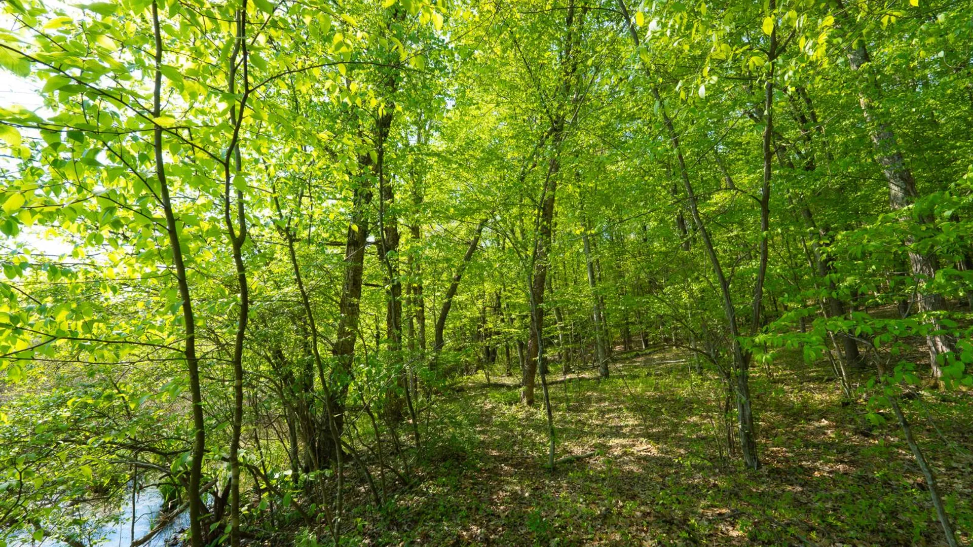 Property at 00WTP Anthony St., Hillsdale, NY 12529 36