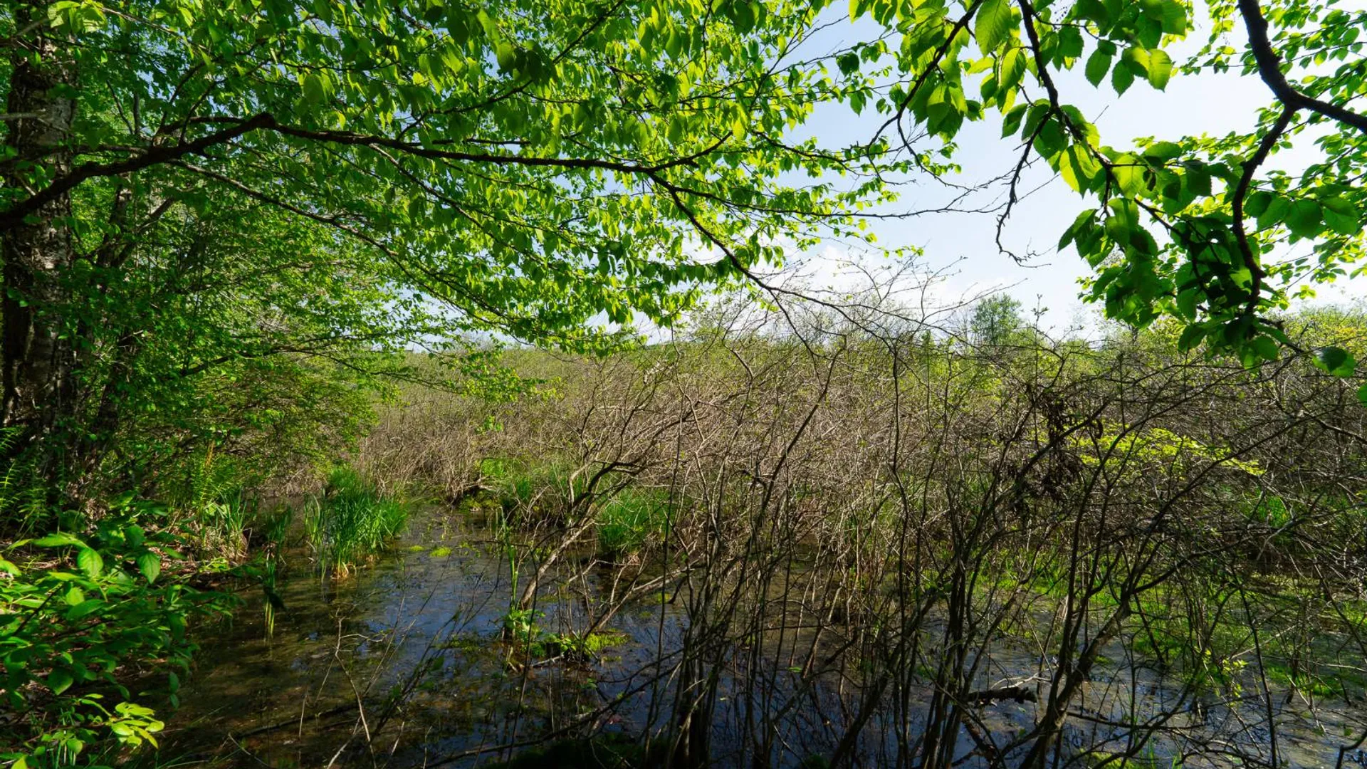 Property at 00WTP Anthony St., Hillsdale, NY 12529 38