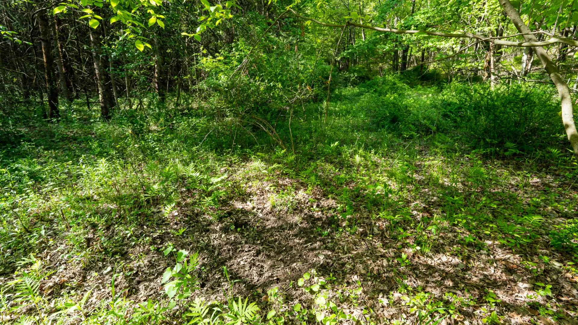 Property at 00WTP Anthony St., Hillsdale, NY 12529 45