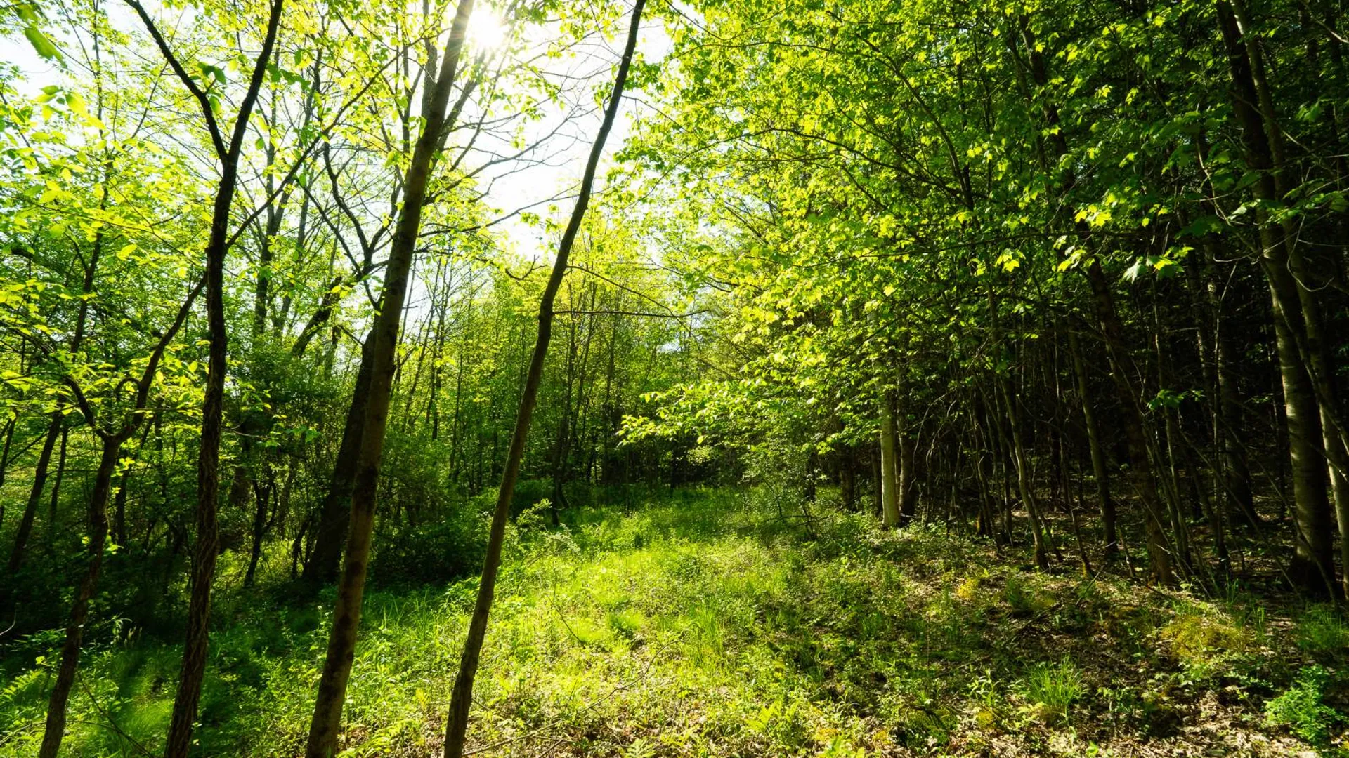 Property at 00WTP Anthony St., Hillsdale, NY 12529 48