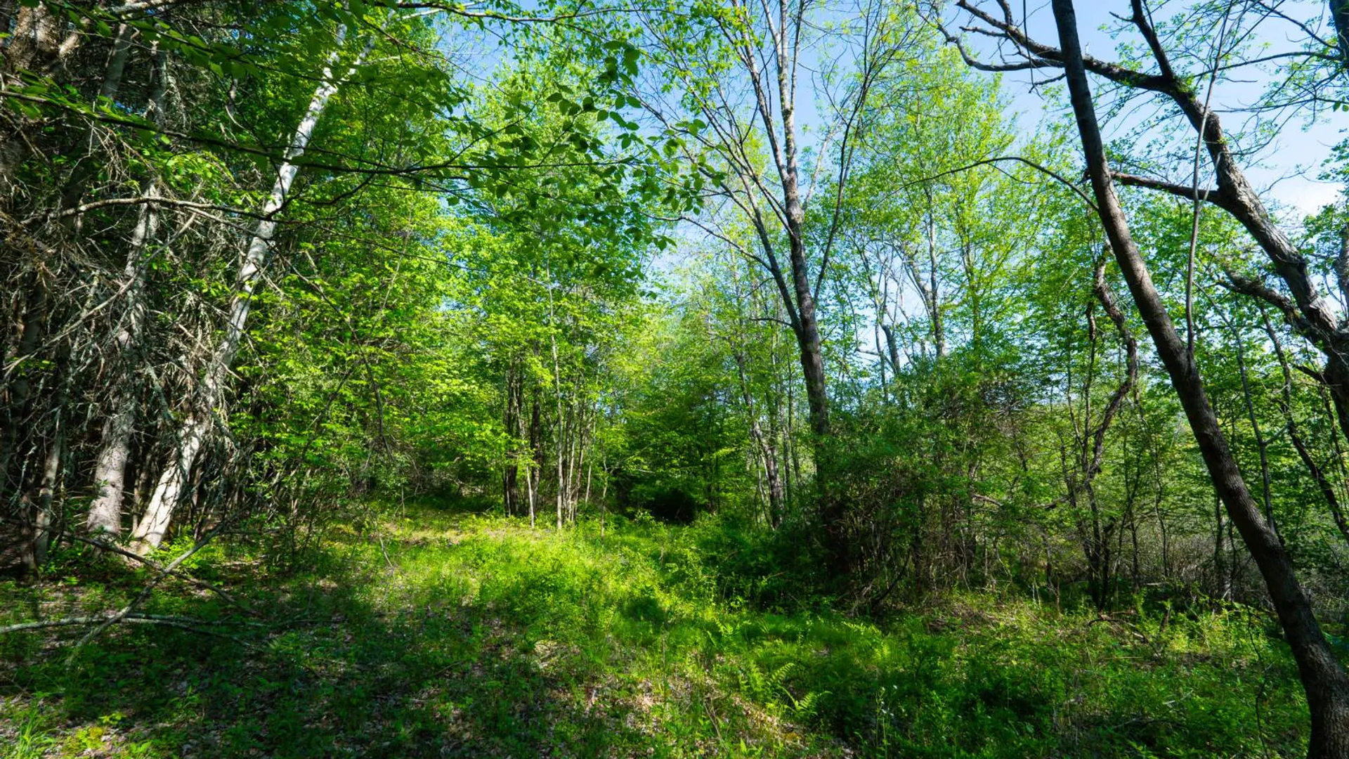 Property at 00WTP Anthony St., Hillsdale, NY 12529 49