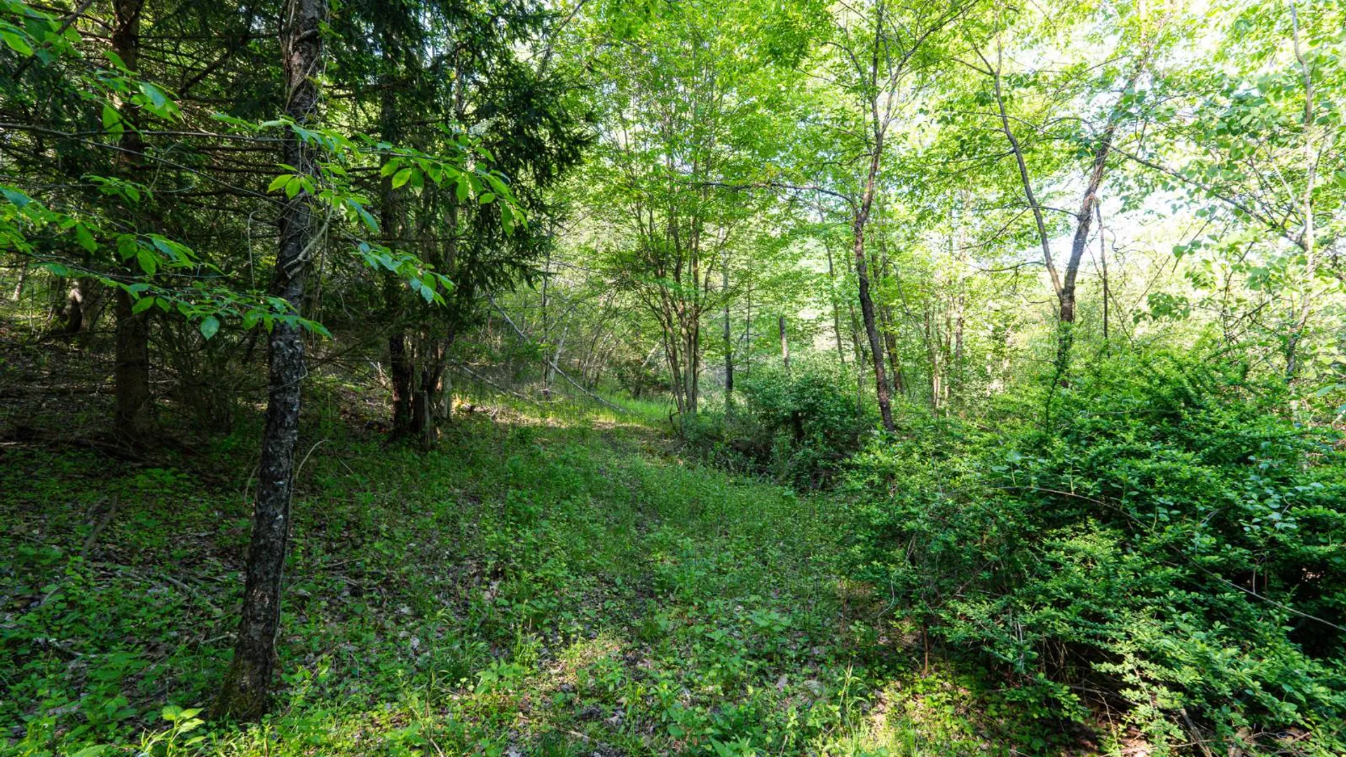 Property at 00WTP Anthony St., Hillsdale, NY 12529 57