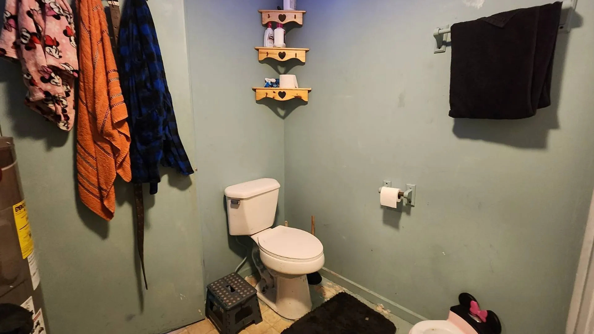 Property at 133 Main St, East Worcester, NY 12064 18