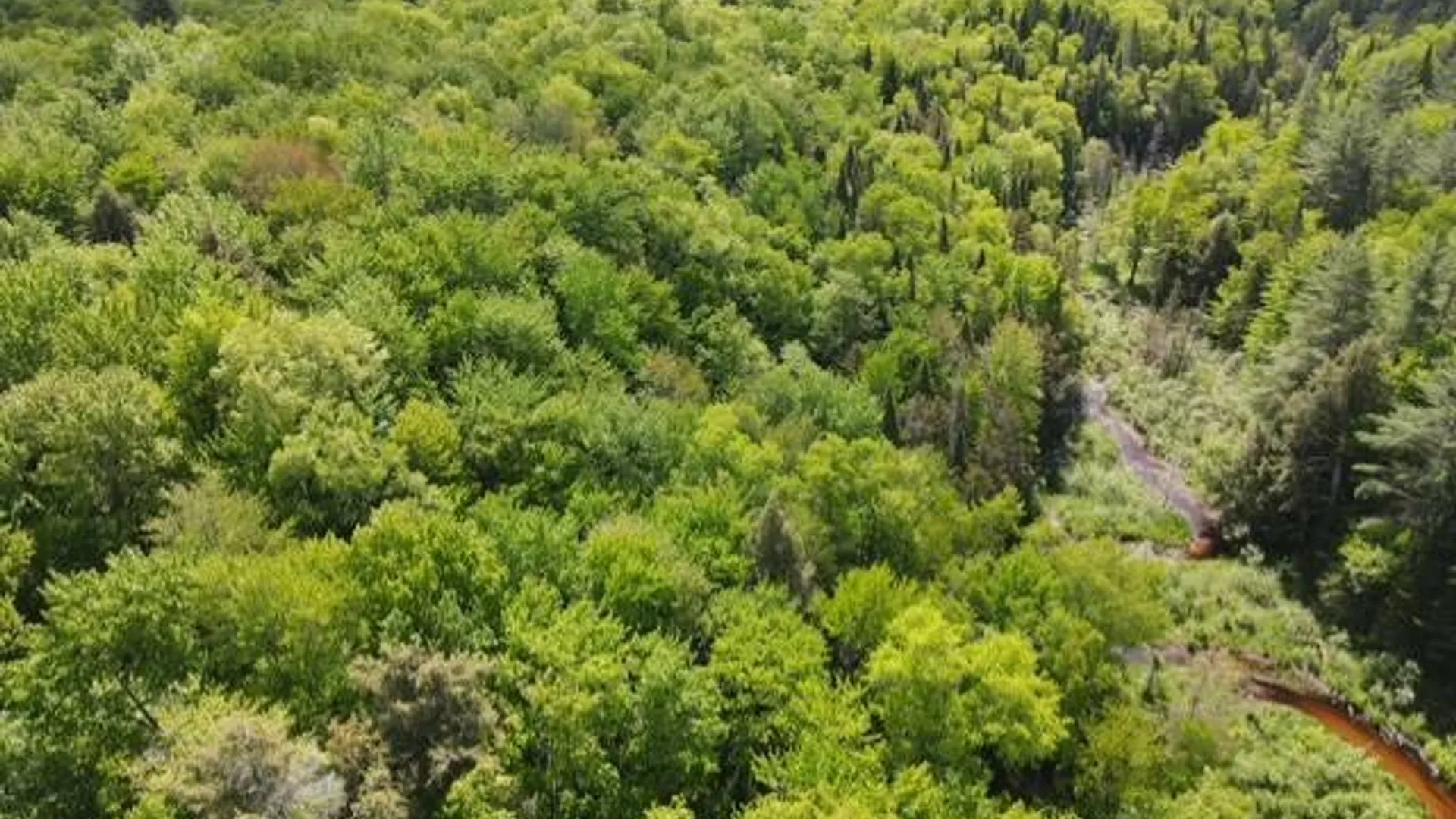 Property at 0 Abbey Rd, Greig, NY 13312 11
