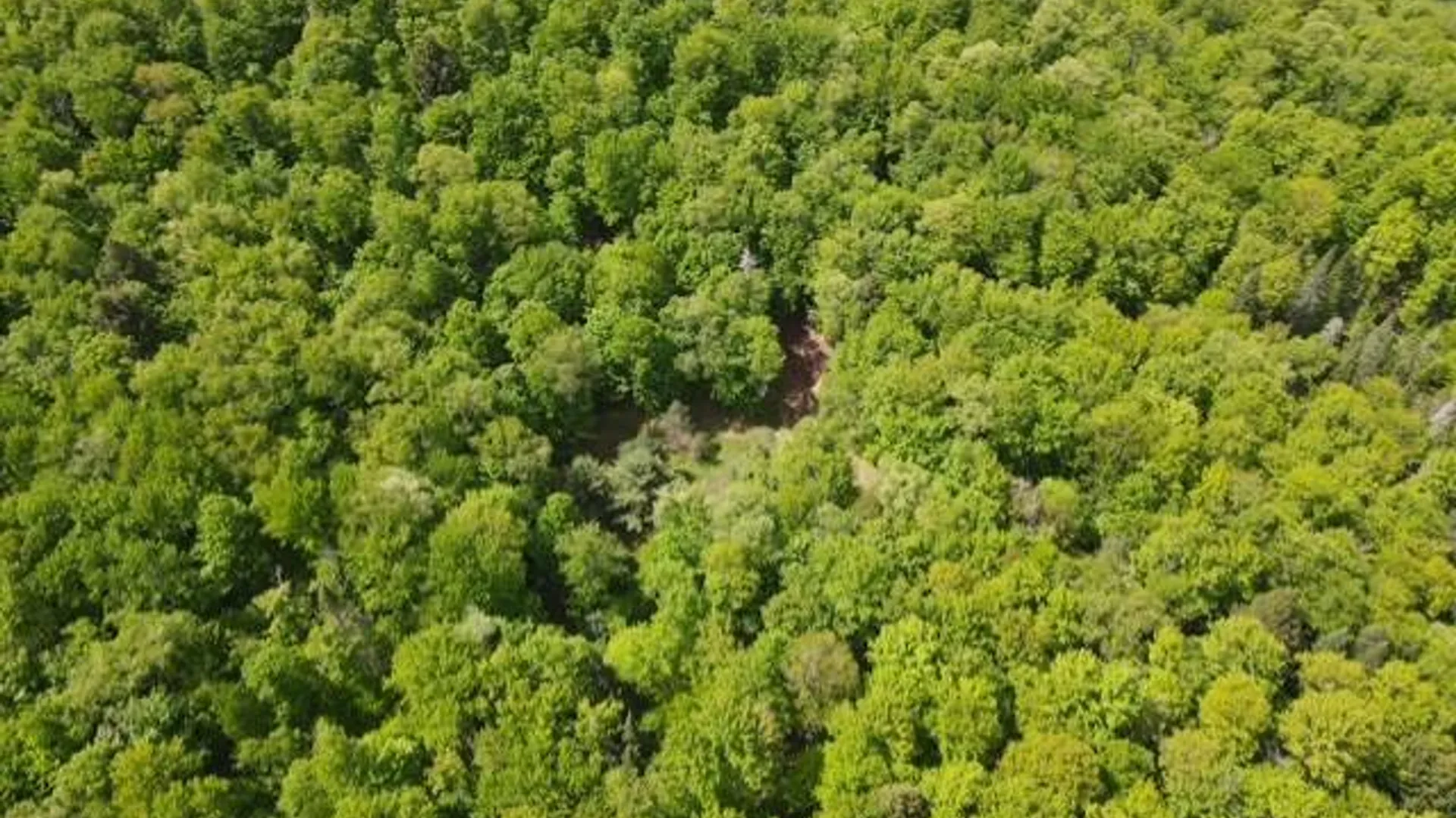 Property at 0 Abbey Rd, Greig, NY 13312 14