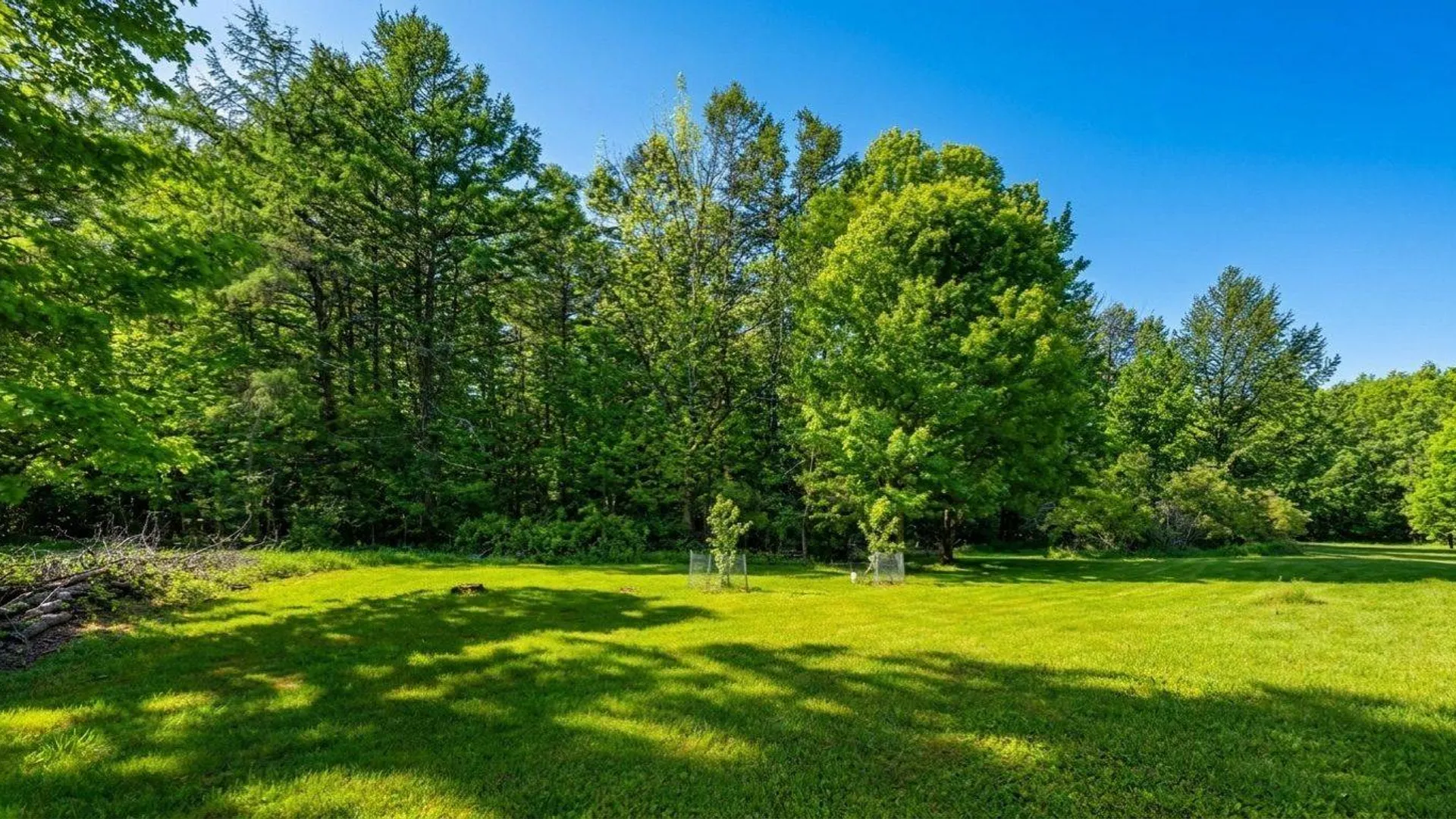 Property at 788 Teed Road, Walton, NY 13856 57