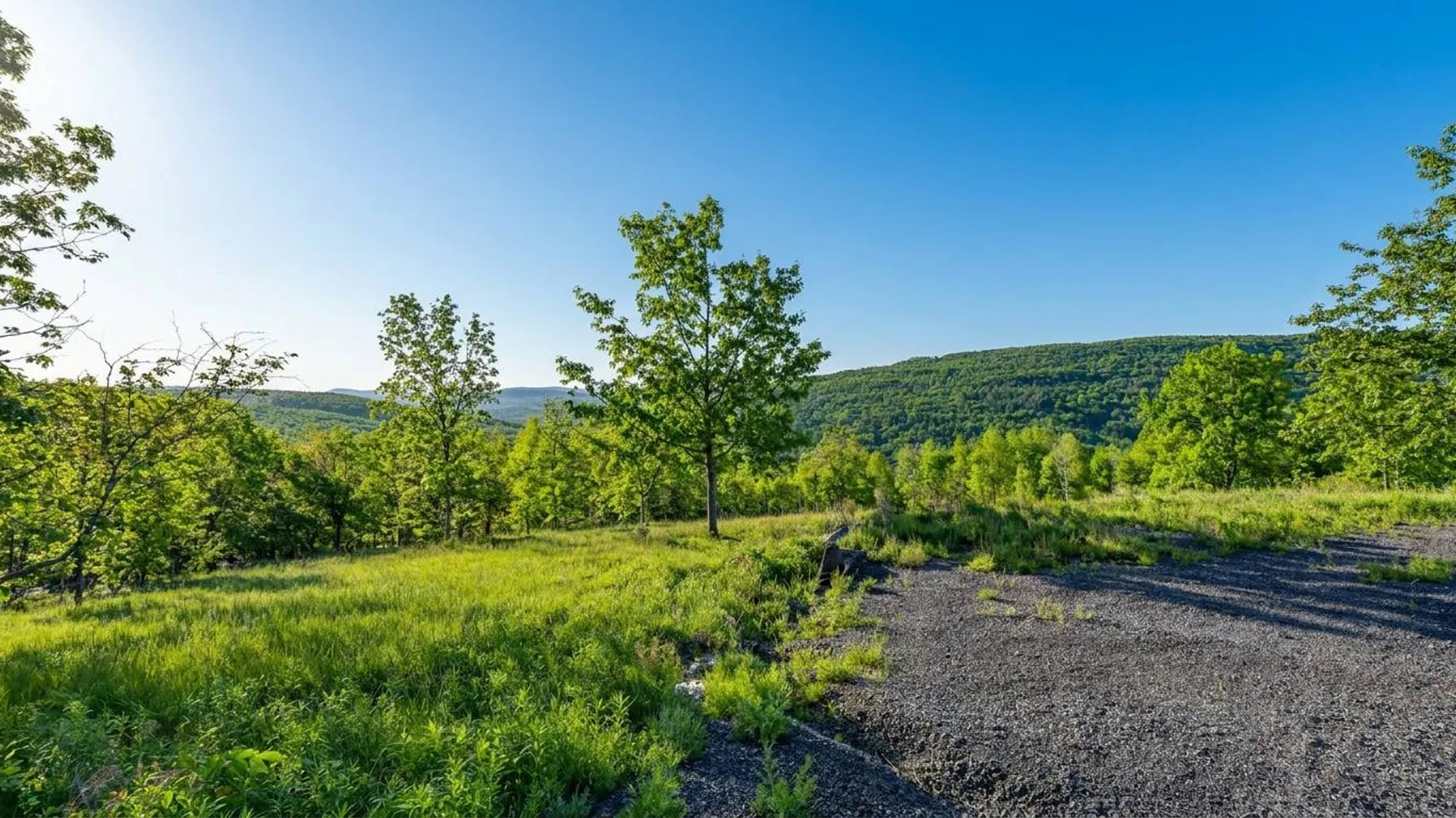 Property at L10.10 Cheese Hill Rd, Rensselaerville, NY 12147 7