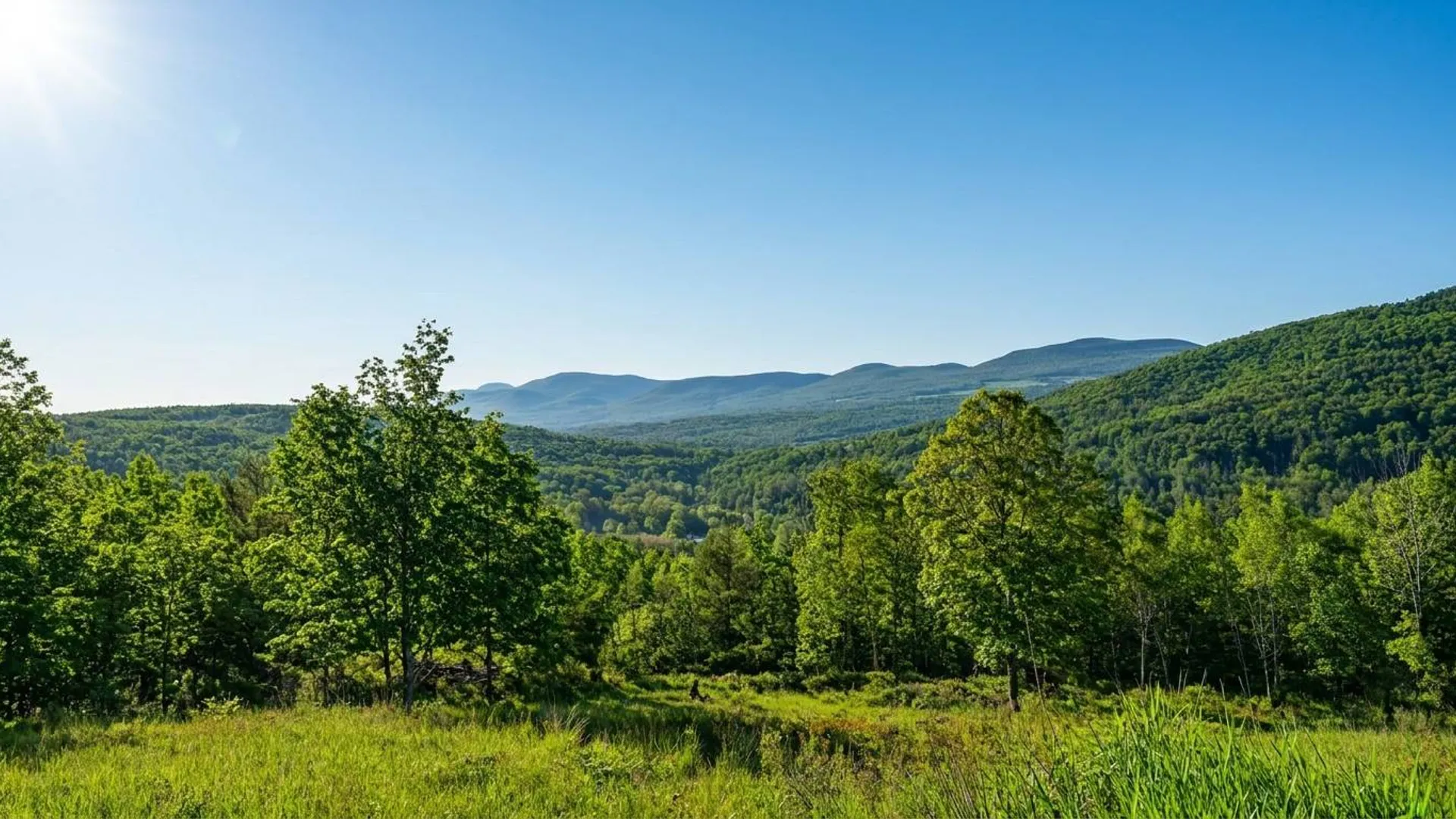 Property at L10.10 Cheese Hill Rd, Rensselaerville, NY 12147 9