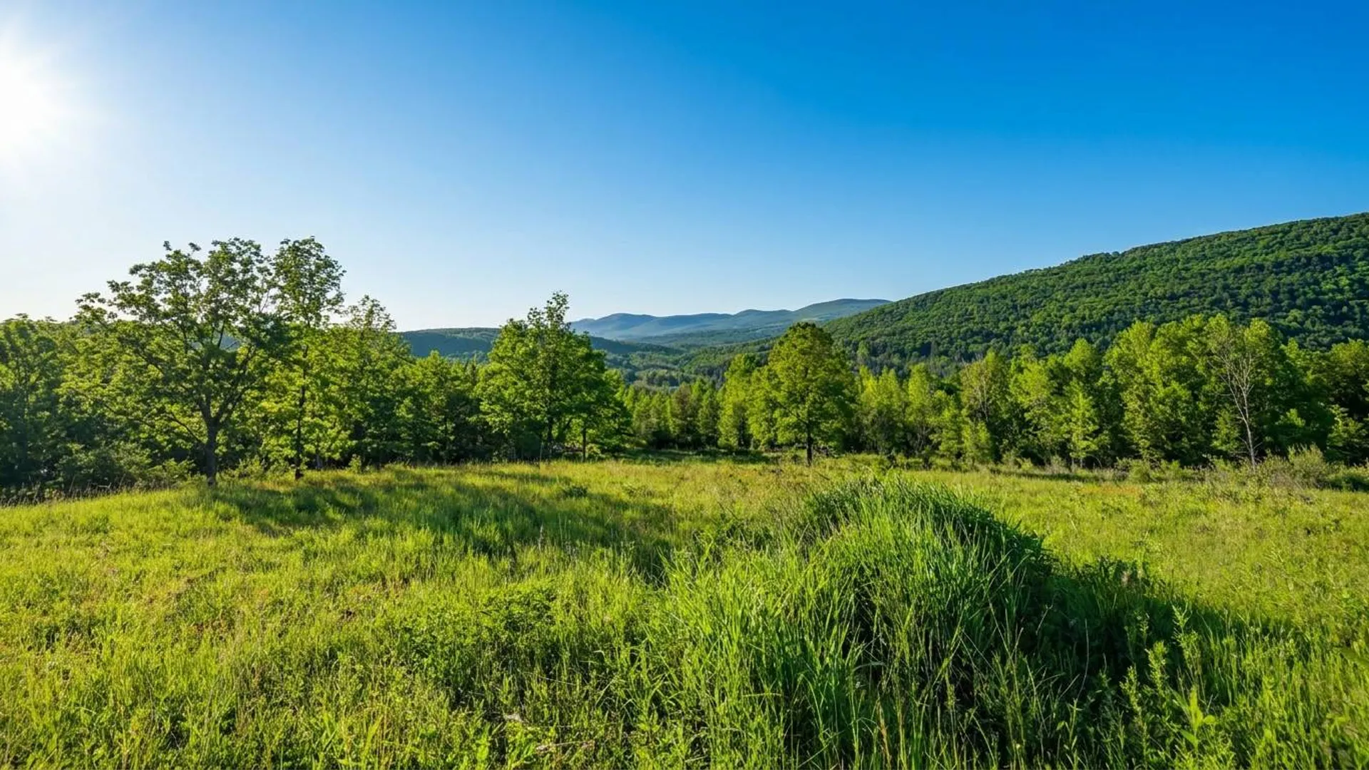 Property at L10.10 Cheese Hill Rd, Rensselaerville, NY 12147 10