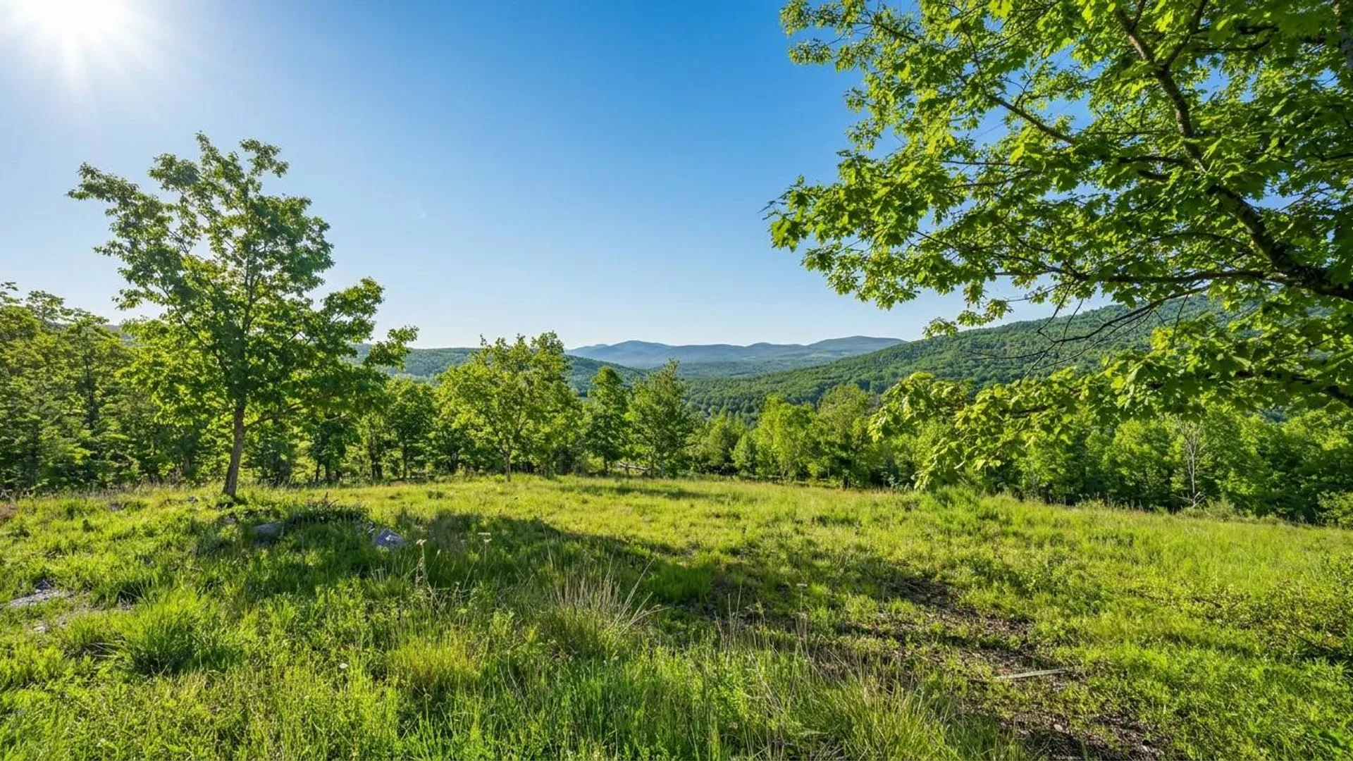 Property at L10.10 Cheese Hill Rd, Rensselaerville, NY 12147 11