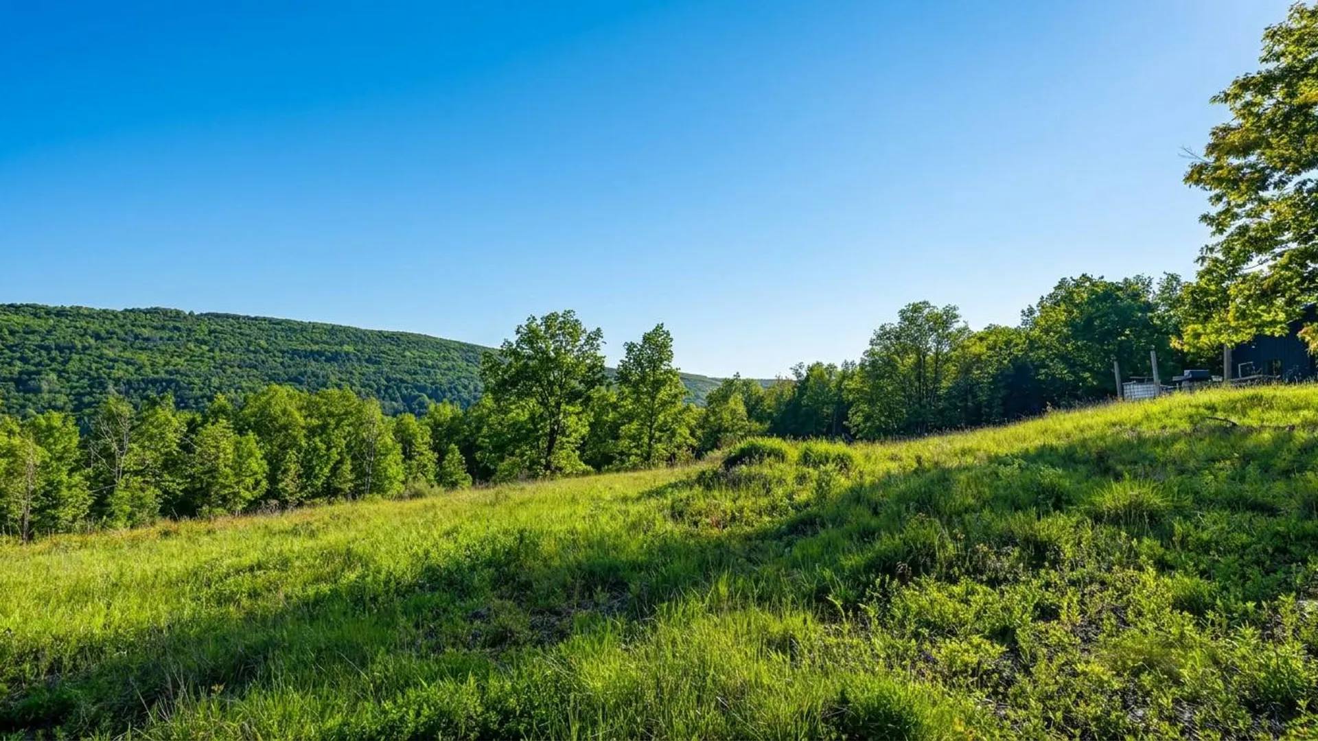 Property at L10.10 Cheese Hill Rd, Rensselaerville, NY 12147 13