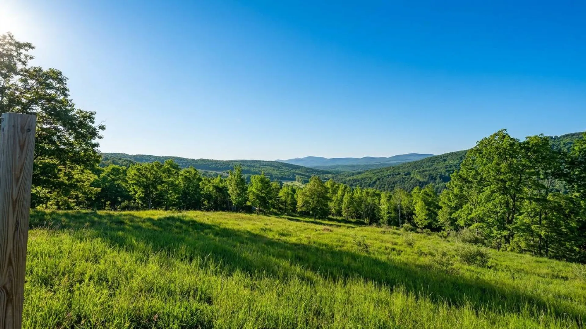 Property at L10.10 Cheese Hill Rd, Rensselaerville, NY 12147 15
