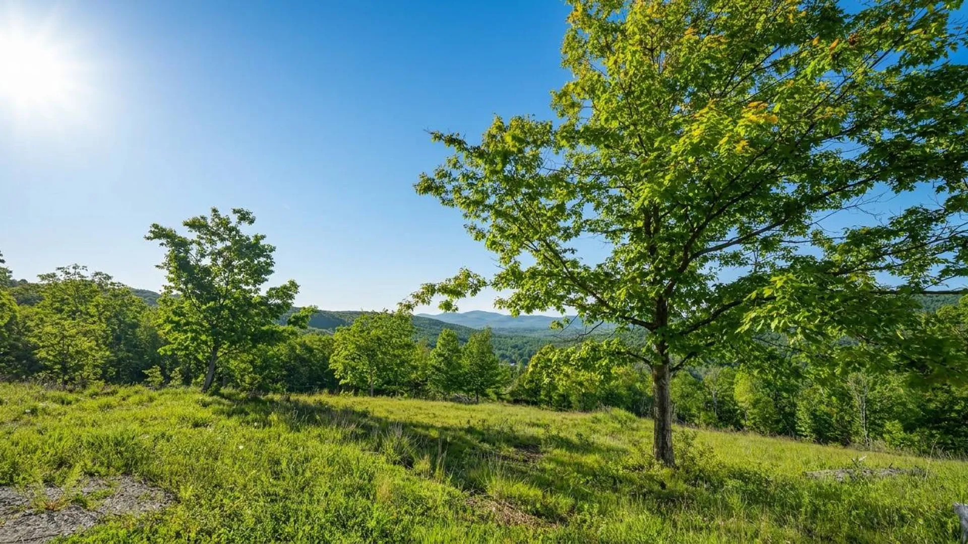 Property at L10.10 Cheese Hill Rd, Rensselaerville, NY 12147 16