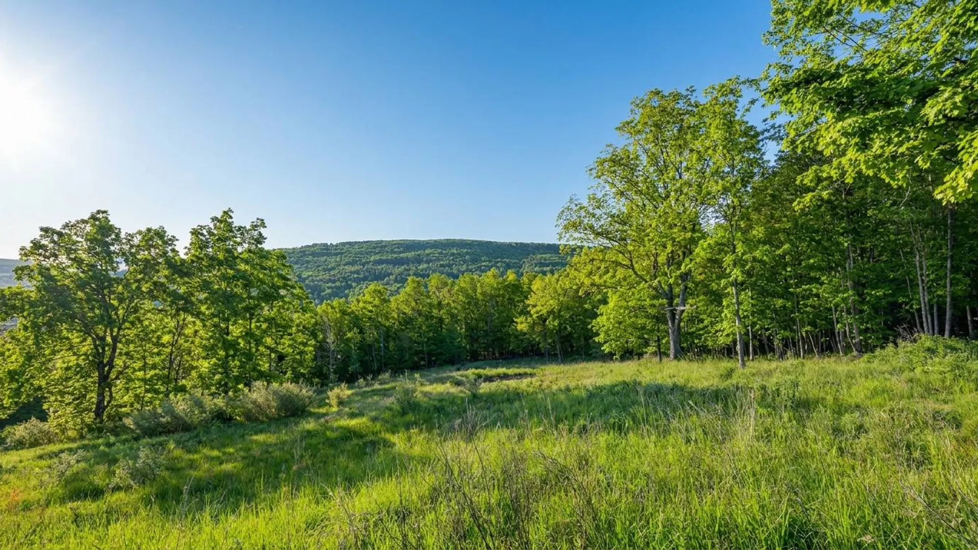 Property at L10.10 Cheese Hill Rd, Rensselaerville, NY 12147 24