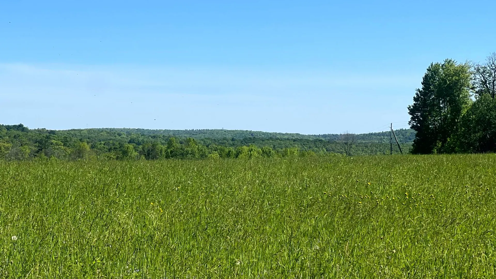 Property at Lot 13 Hillside View Lane, Oxford Rd., Guilford, NY 13815 3