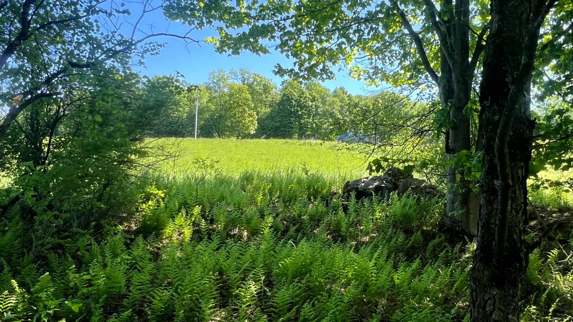Property at Lot 13 Hillside View Lane, Oxford Rd., Guilford, NY 13815 5