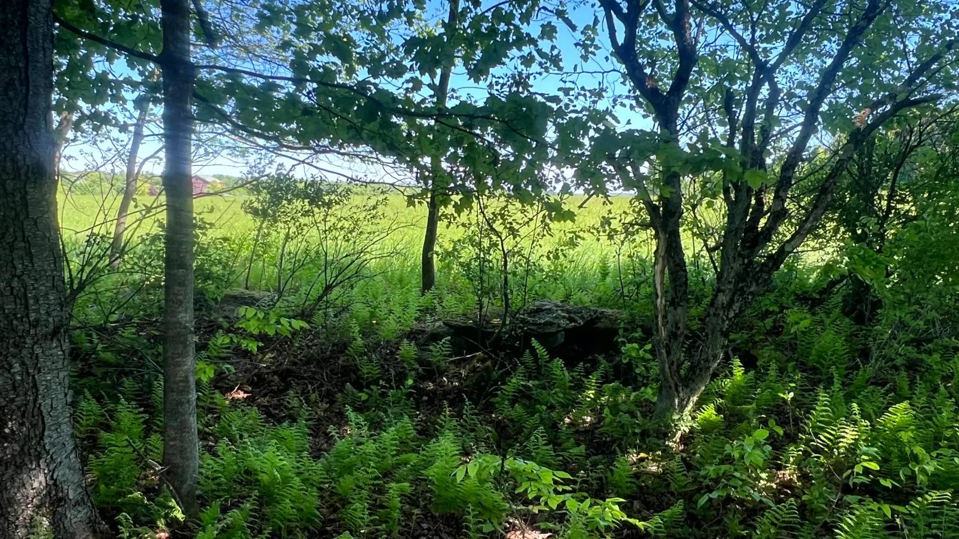 Property at Lot 13 Hillside View Lane, Oxford Rd., Guilford, NY 13815 6