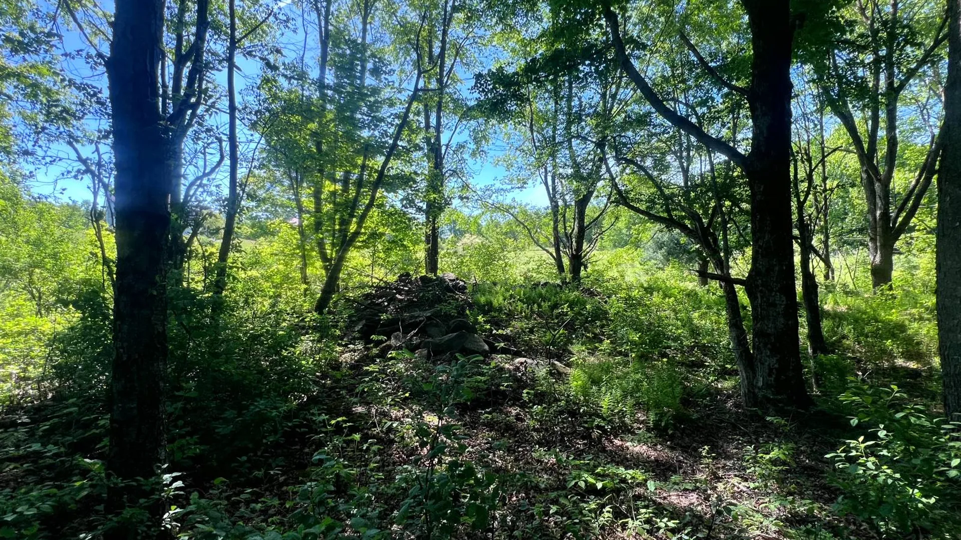 Property at Lot 13 Hillside View Lane, Oxford Rd., Guilford, NY 13815 7
