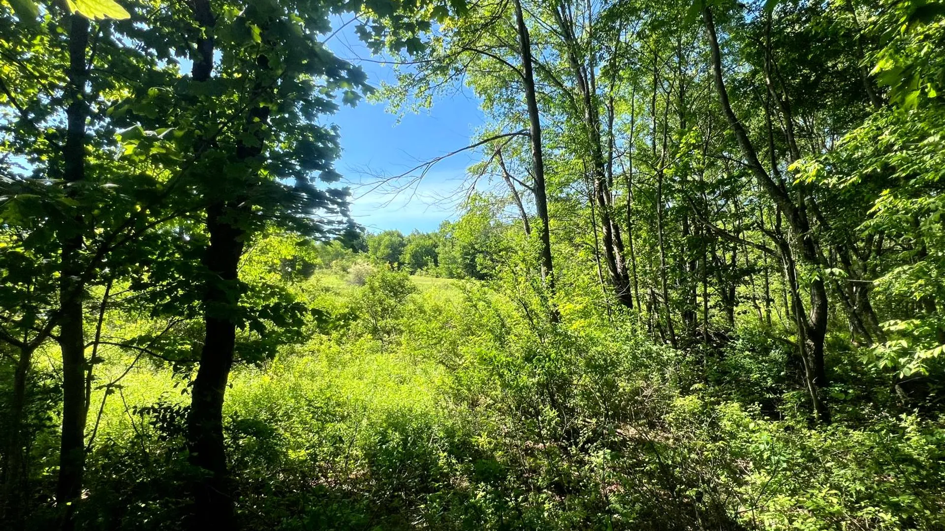 Property at Lot 13 Hillside View Lane, Oxford Rd., Guilford, NY 13815 8