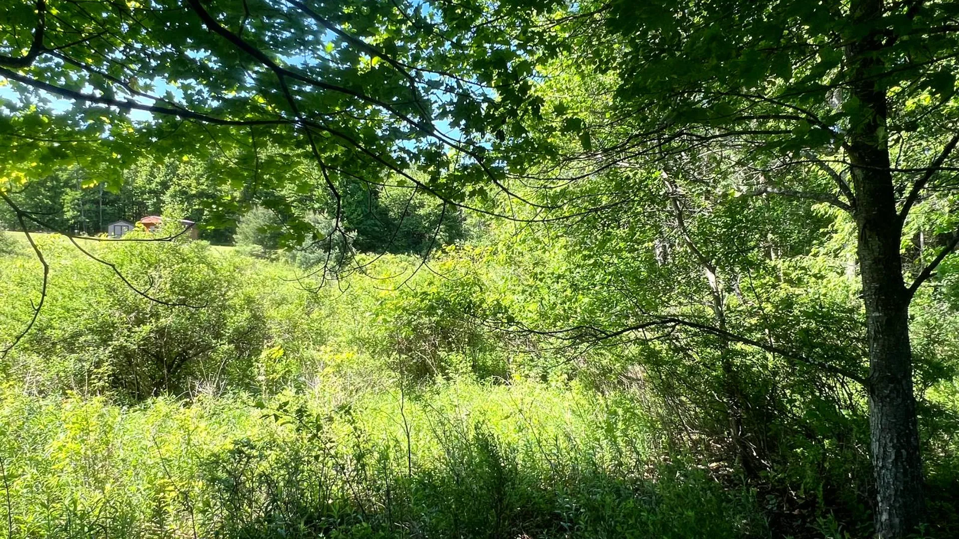 Property at Lot 13 Hillside View Lane, Oxford Rd., Guilford, NY 13815 9