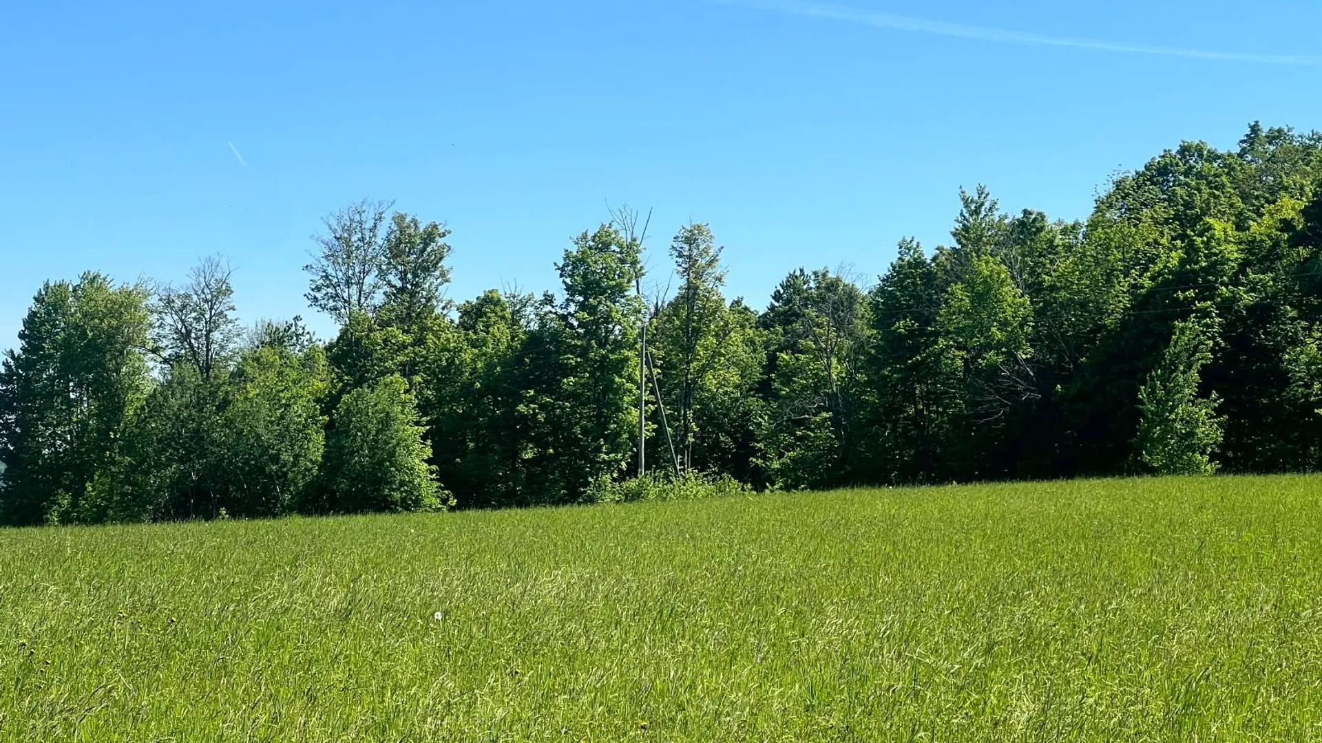 Property at Lot 13 Hillside View Lane, Oxford Rd., Guilford, NY 13815 11