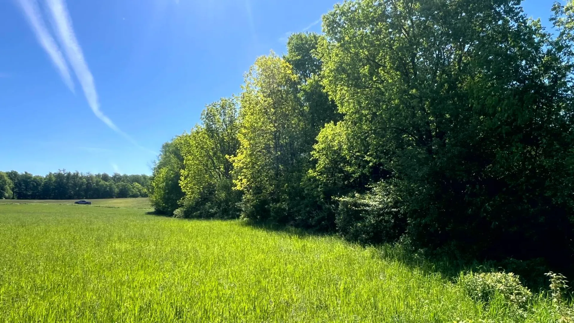 Property at Lot 13 Hillside View Lane, Oxford Rd., Guilford, NY 13815 12