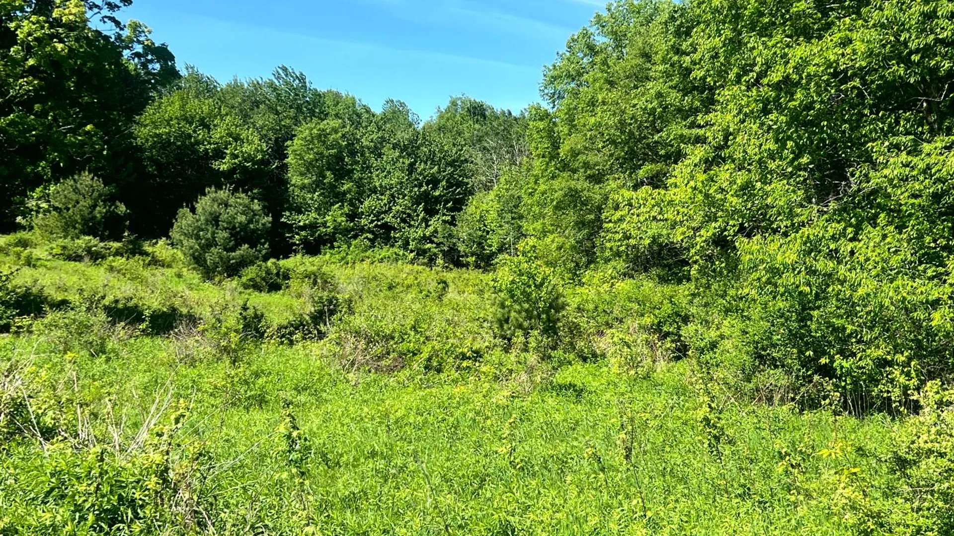Property at Lot 13 Hillside View Lane, Oxford Rd., Guilford, NY 13815 15