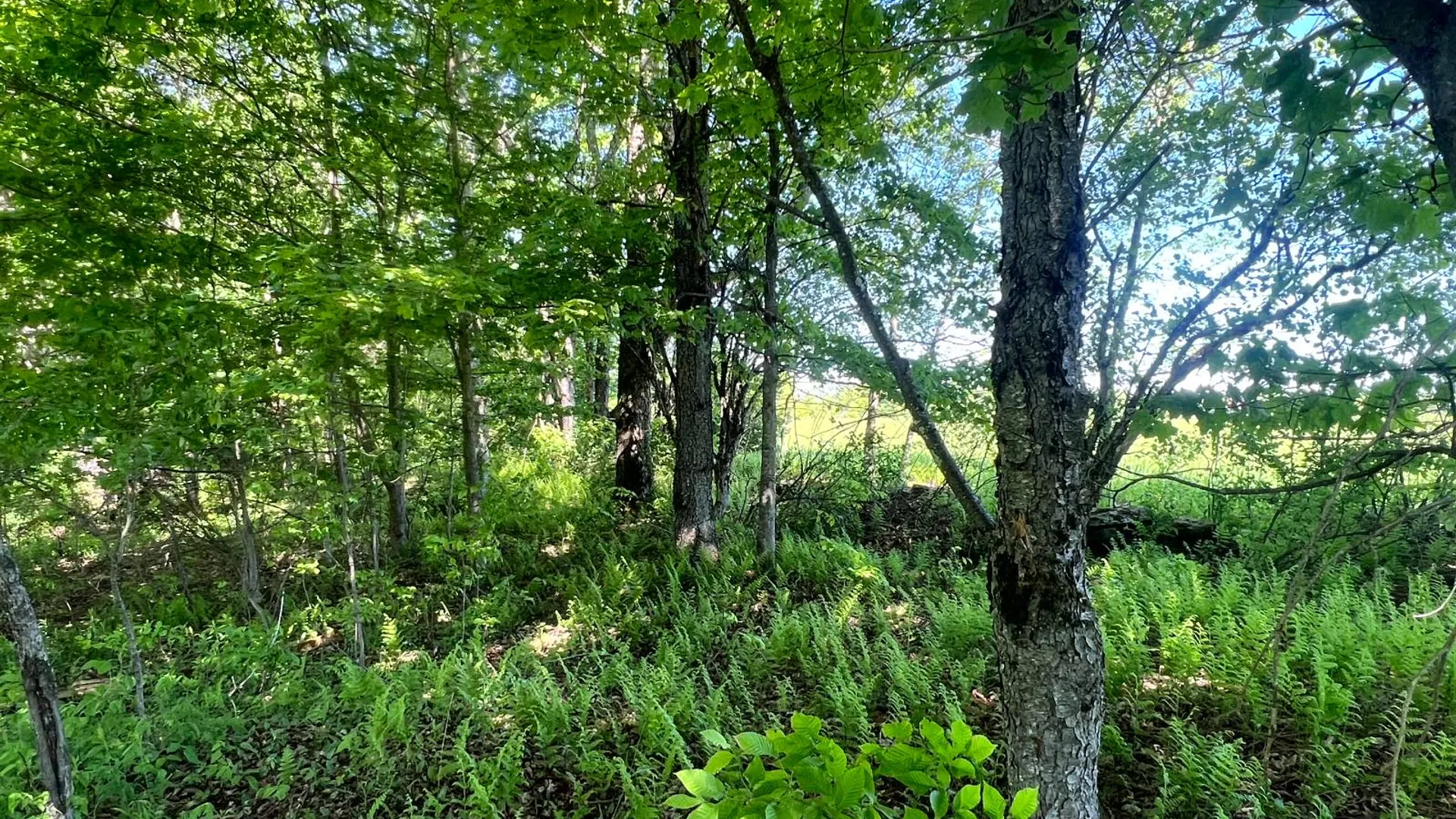Property at Lot 13 Hillside View Lane, Oxford Rd., Guilford, NY 13815 16