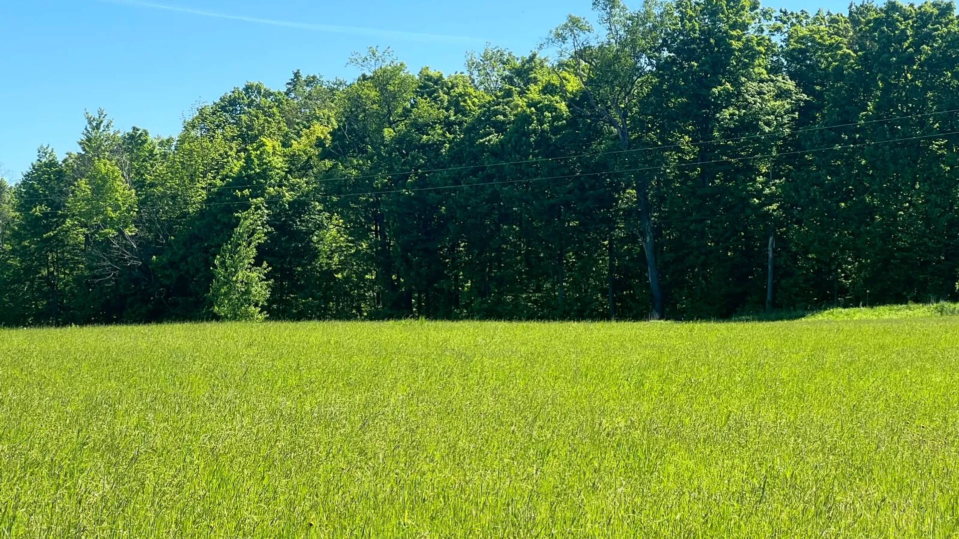 Property at Lot 13 Hillside View Lane, Oxford Rd., Guilford, NY 13815 17
