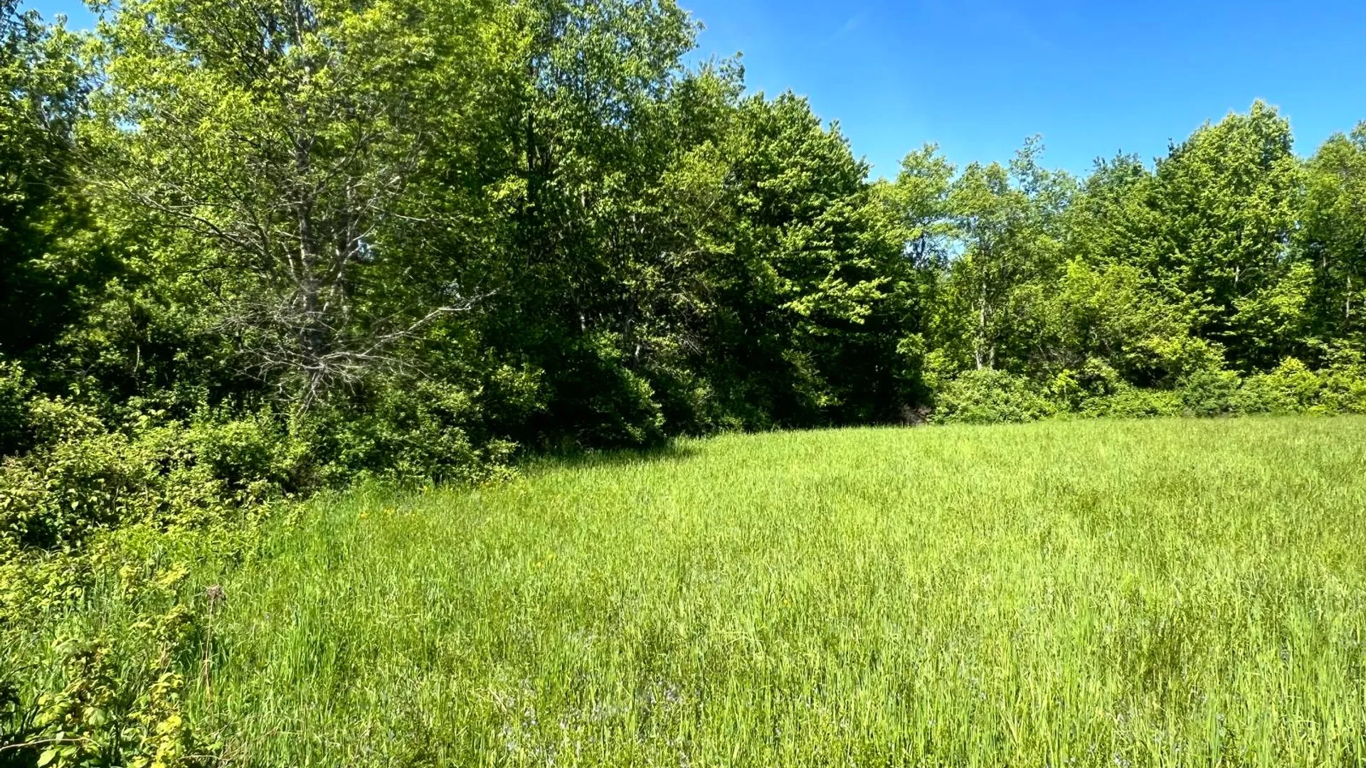 Property at Lot 13 Hillside View Lane, Oxford Rd., Guilford, NY 13815 18