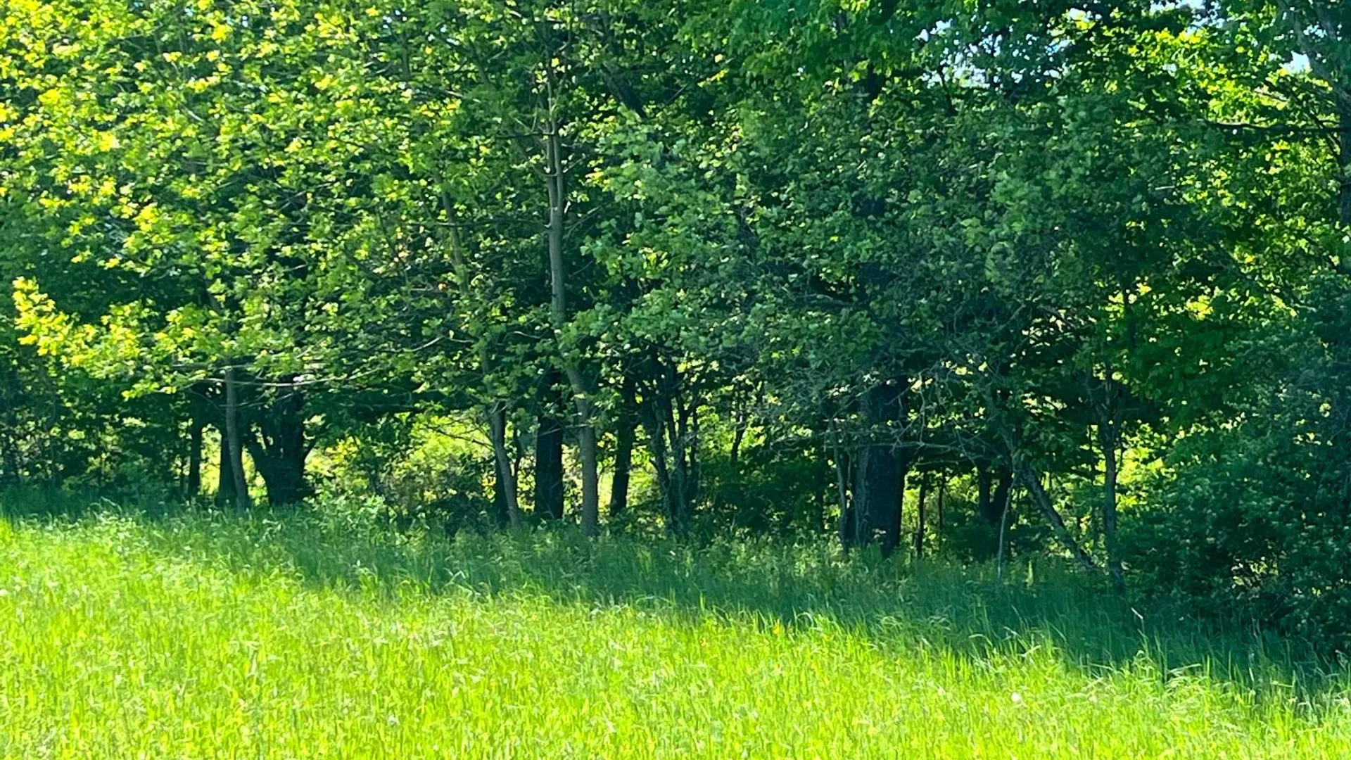 Property at Lot 13 Hillside View Lane, Oxford Rd., Guilford, NY 13815 19