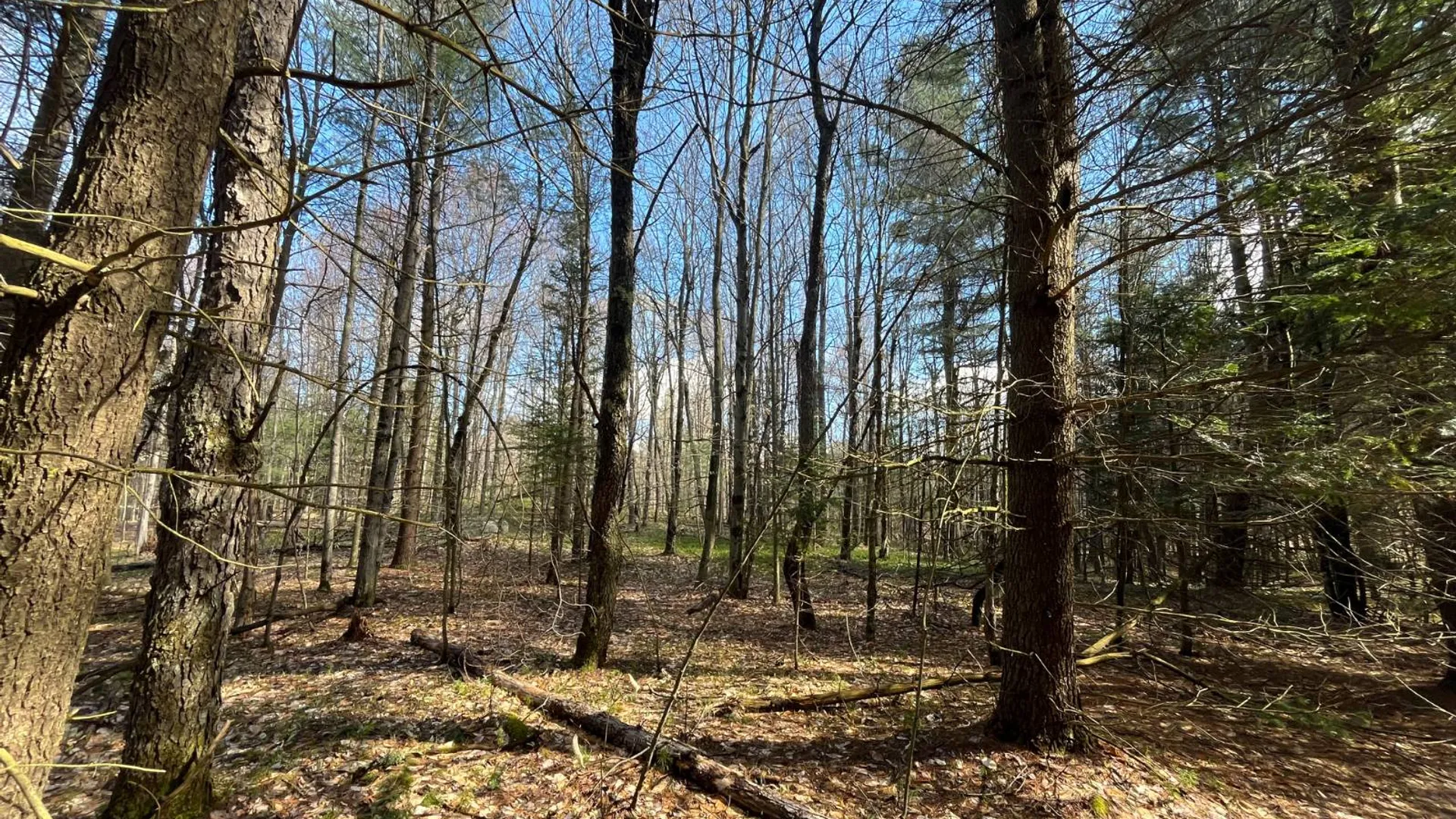 Property at 209 Caswell Road, Dickinson Center, NY 12930 13