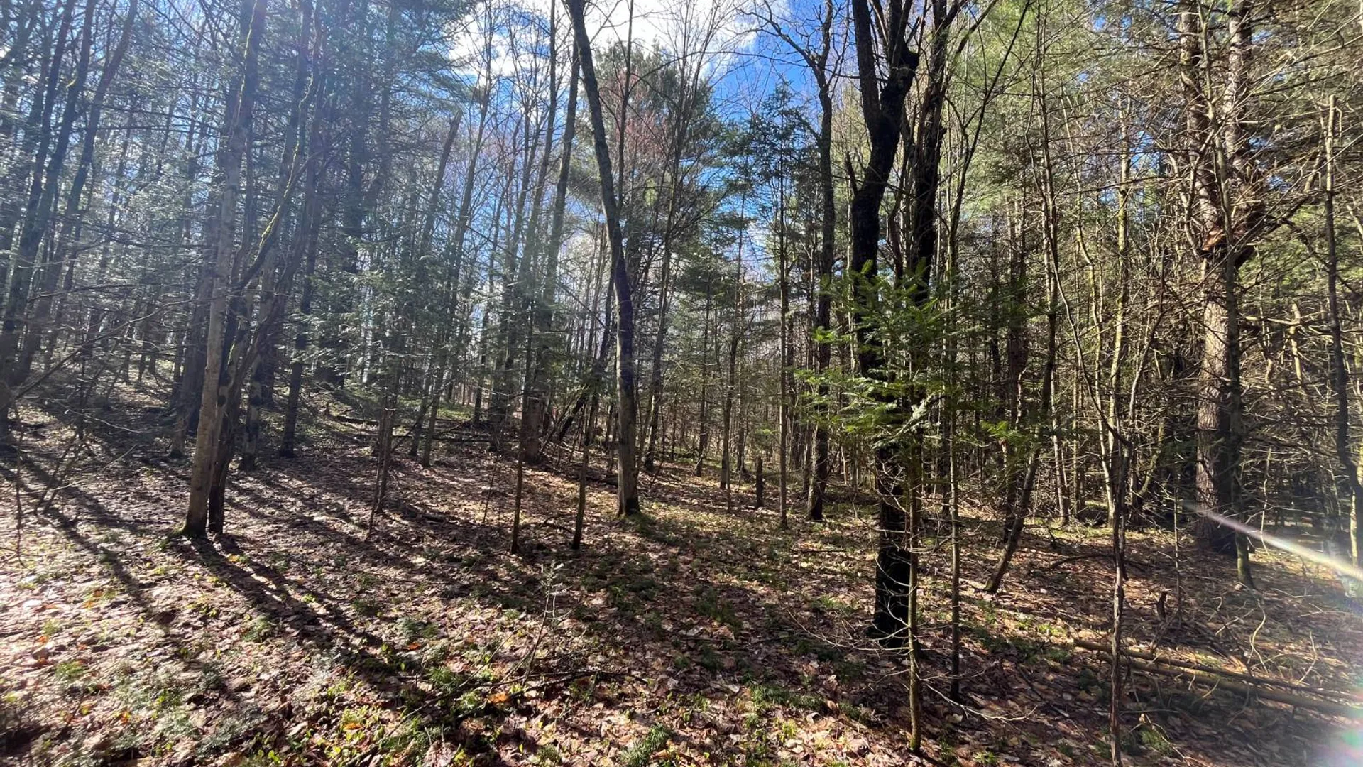 Property at 209 Caswell Road, Dickinson Center, NY 12930 17