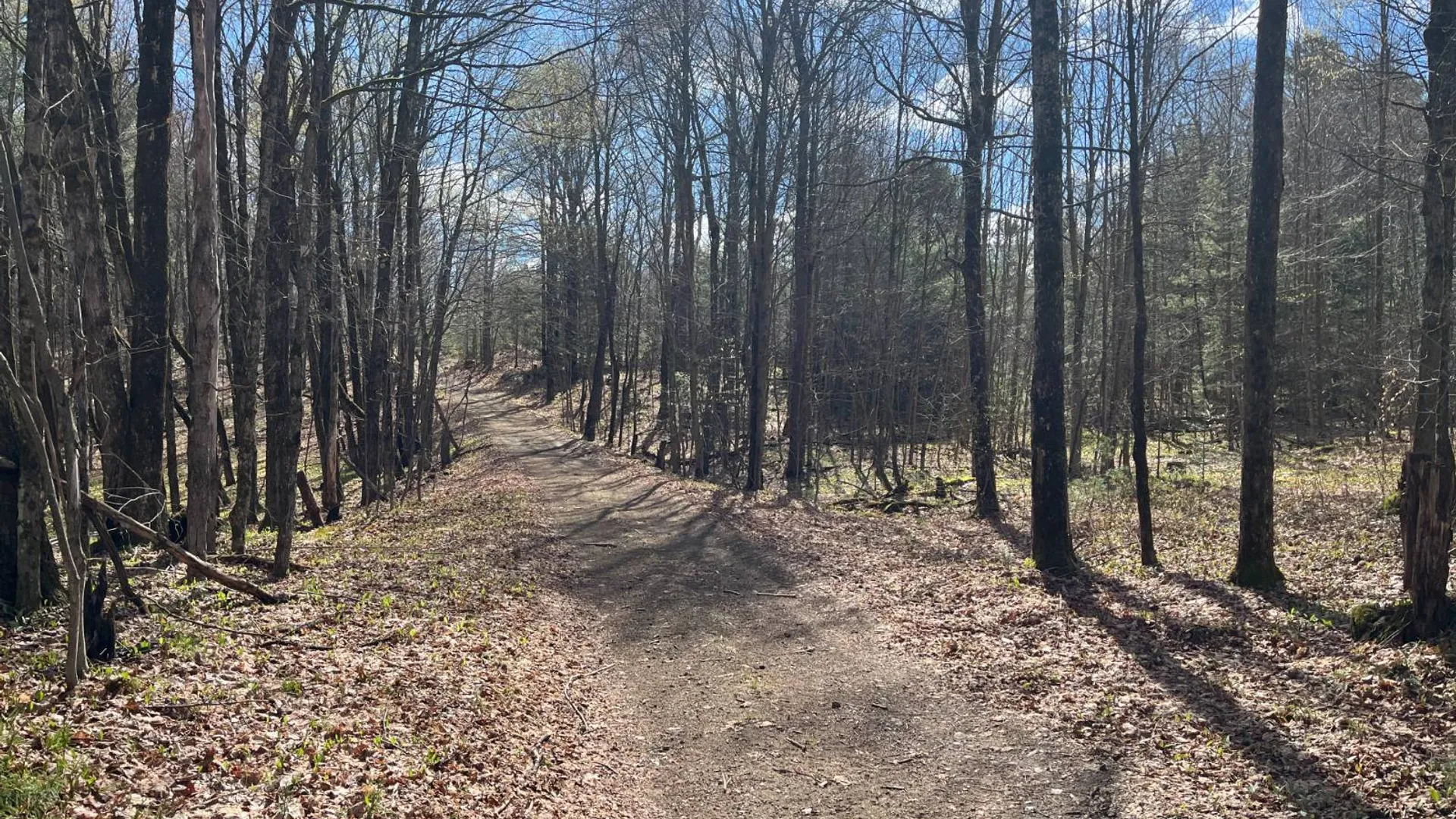 Property at 209 Caswell Road, Dickinson Center, NY 12930 25