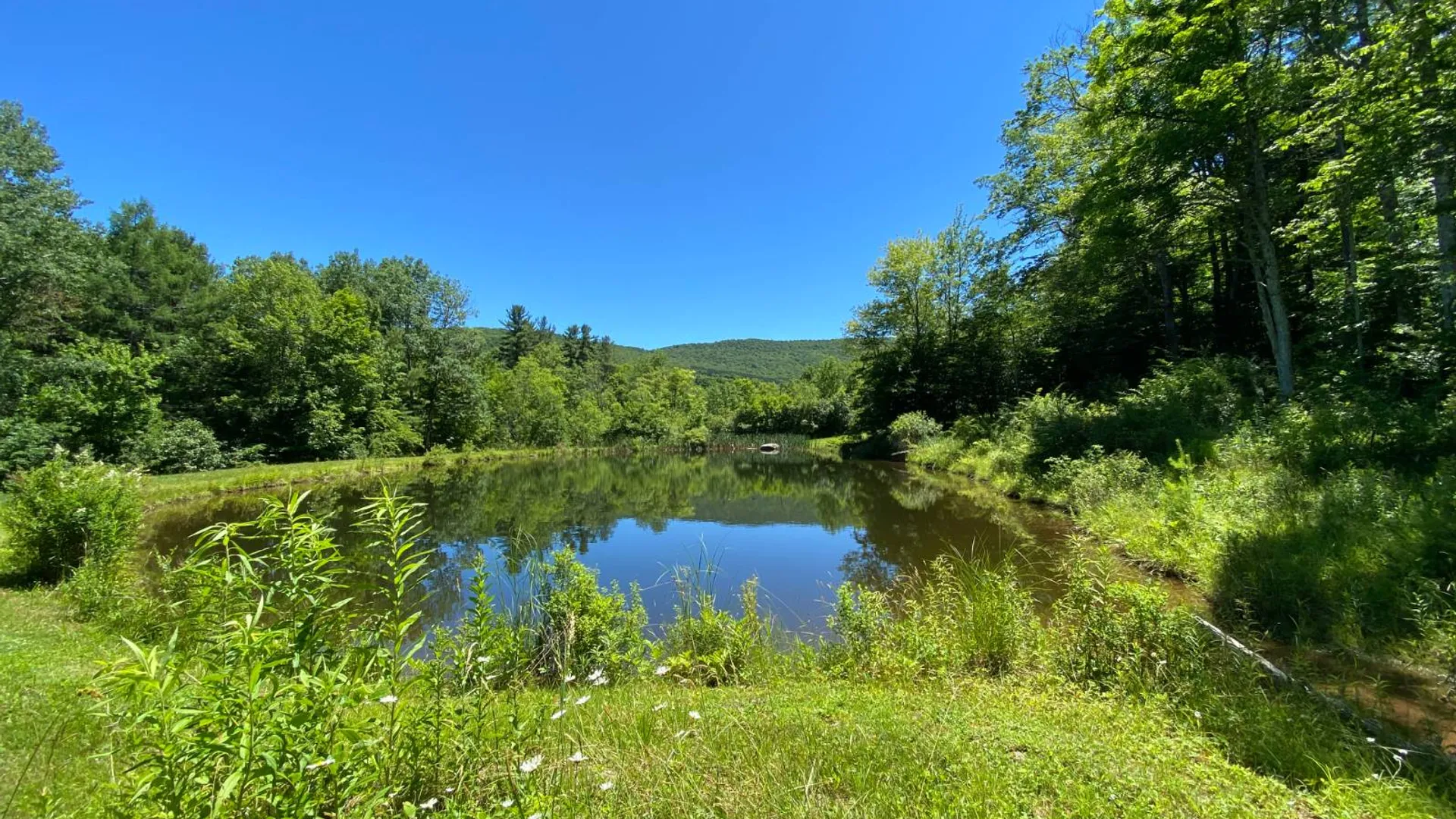 Property at 277 Seedorf Rd, Bovina, NY 13740 21