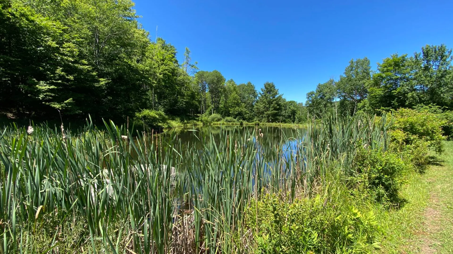 Property at 277 Seedorf Rd, Bovina, NY 13740 22