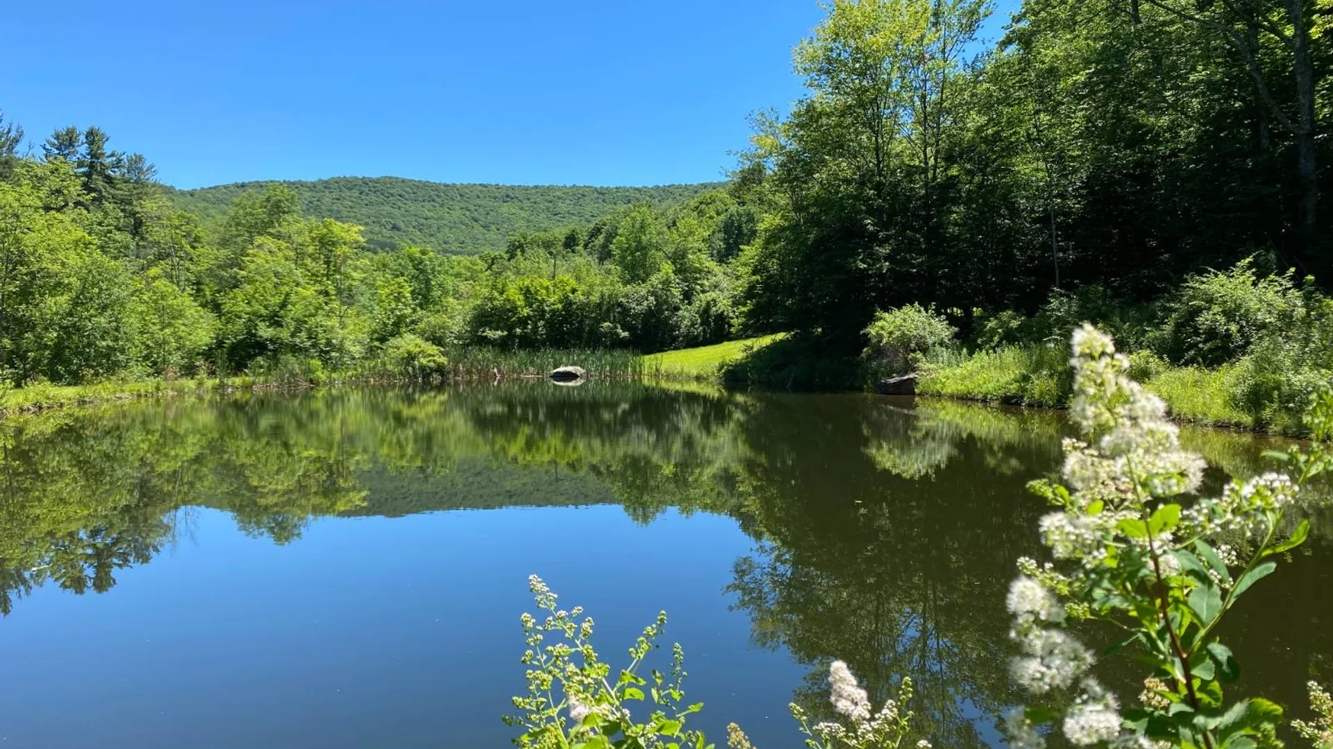 Property at 277 Seedorf Rd, Bovina, NY 13740 23