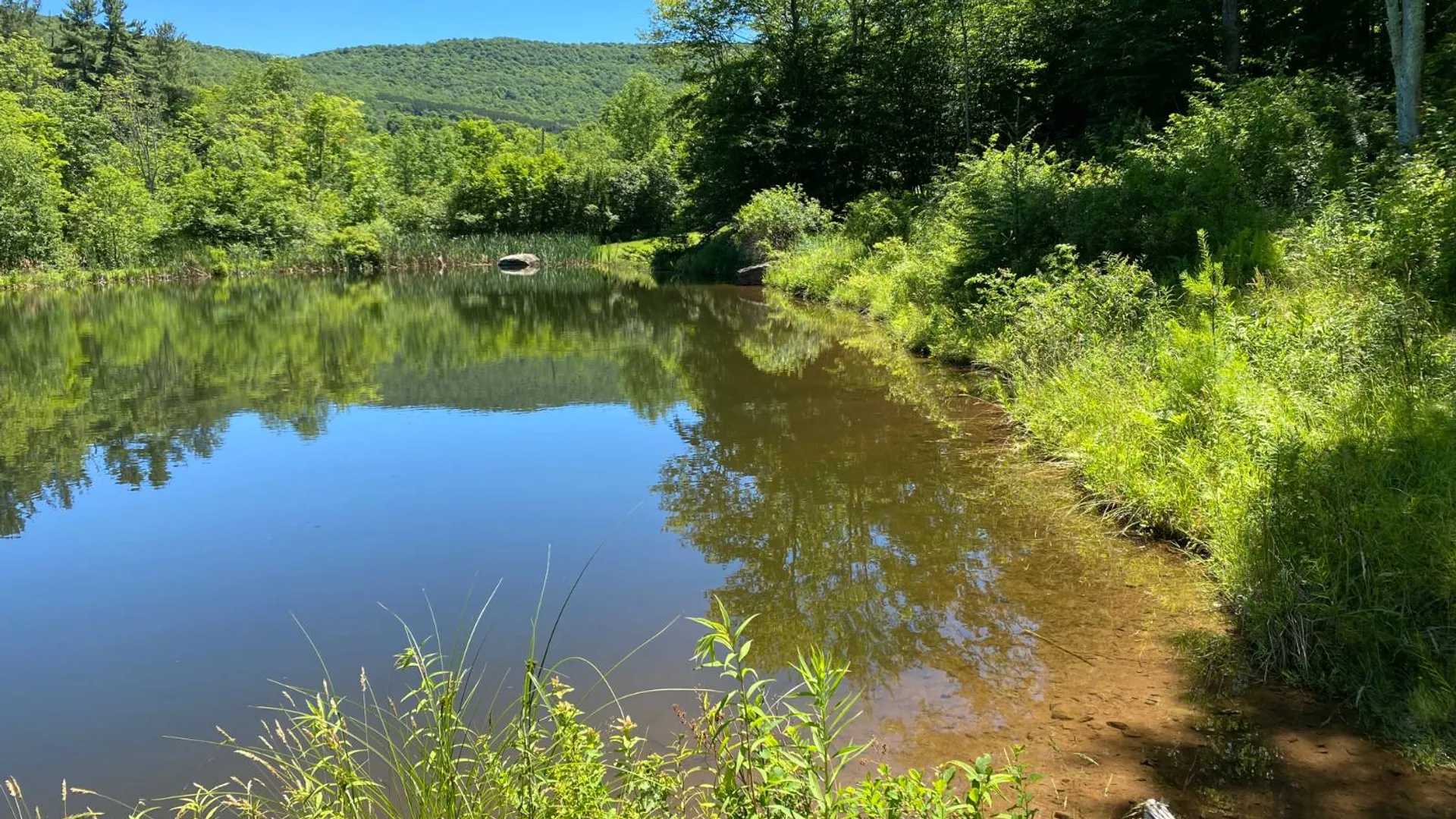 Property at 277 Seedorf Rd, Bovina, NY 13740 24