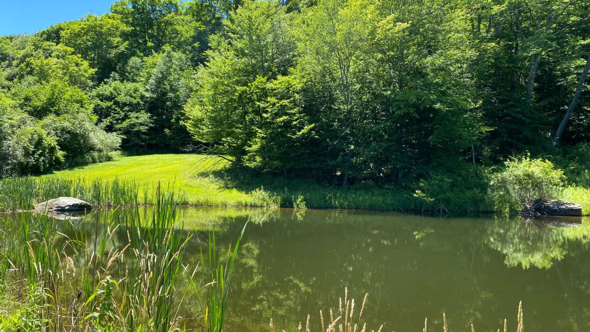 Property at 277 Seedorf Rd, Bovina, NY 13740 25