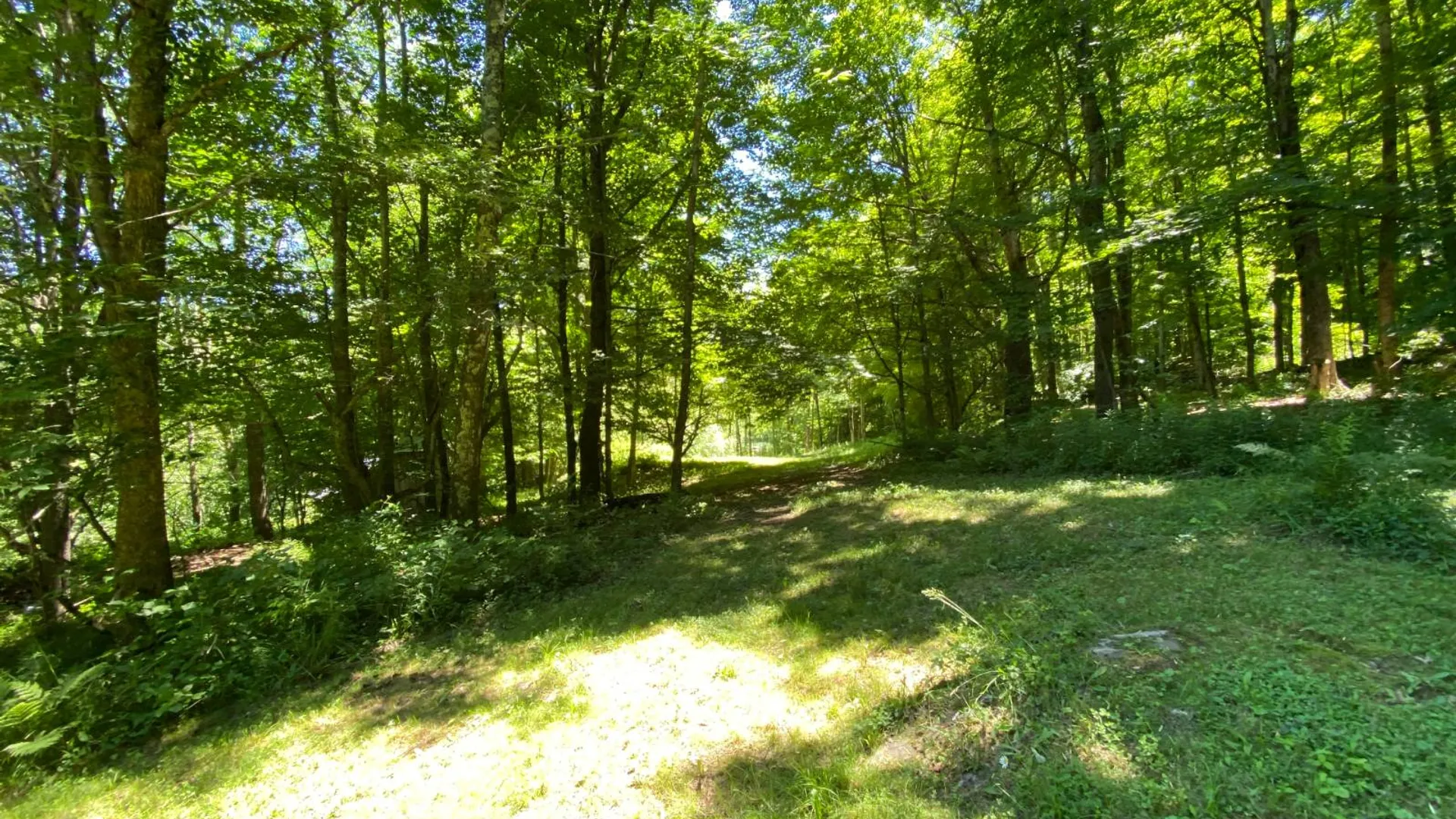 Property at 277 Seedorf Rd, Bovina, NY 13740 29