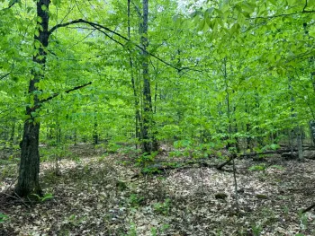 Property at 1.1 Cobble Creek Rd., Chester, NY 12853