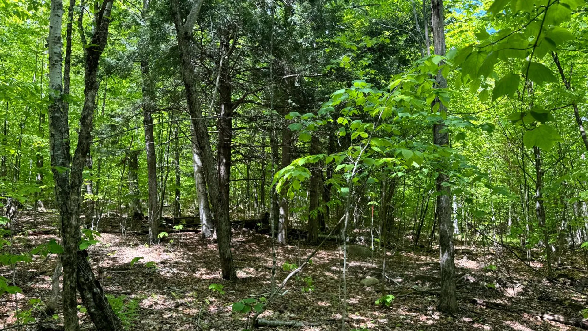 Property at 1.1 Cobble Creek Rd., Chester, NY 12853 3
