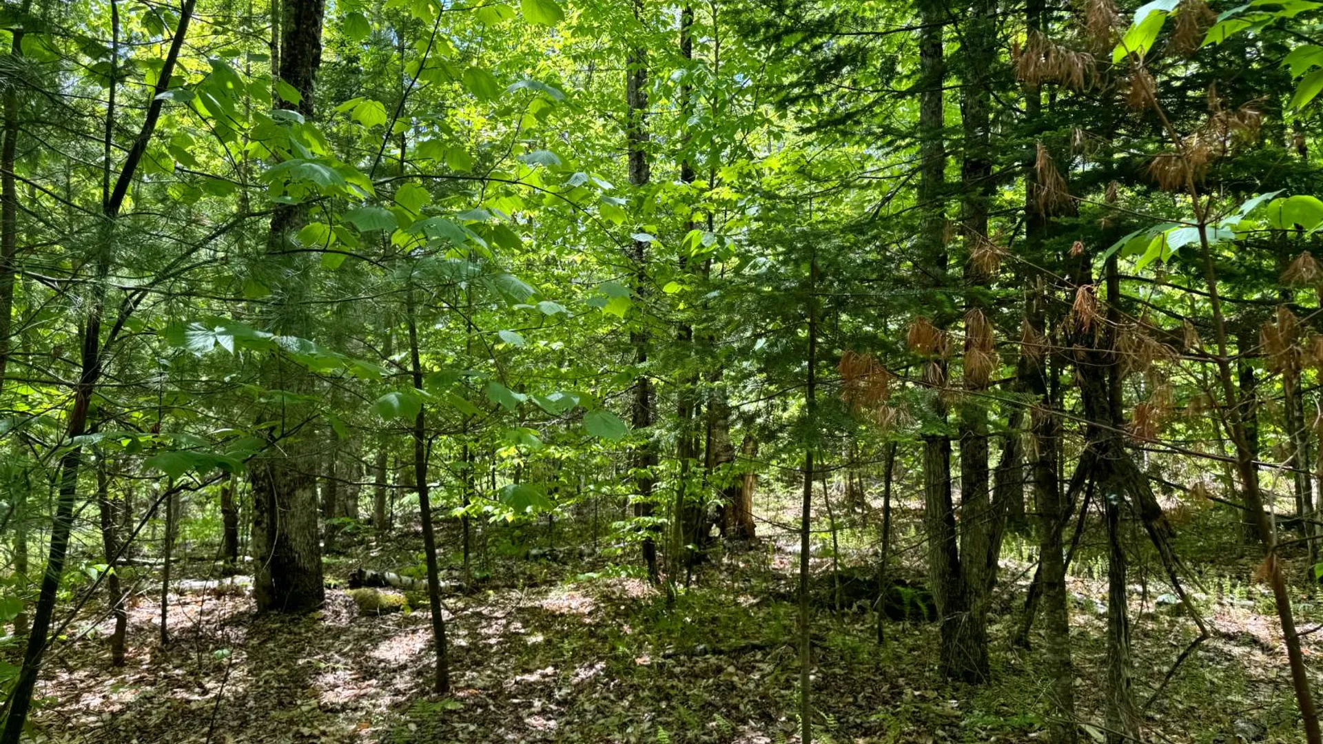Property at 1.1 Cobble Creek Rd., Chester, NY 12853 9