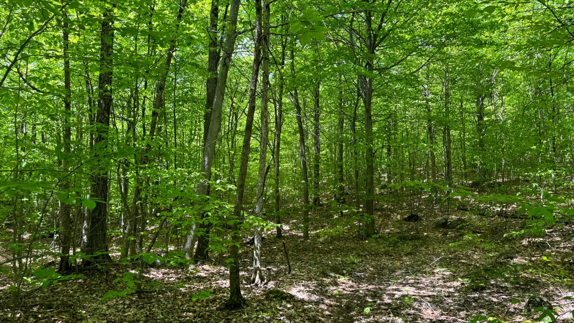 Property at 1.2 Cobble Creek Rd., Chester, NY 12853 3