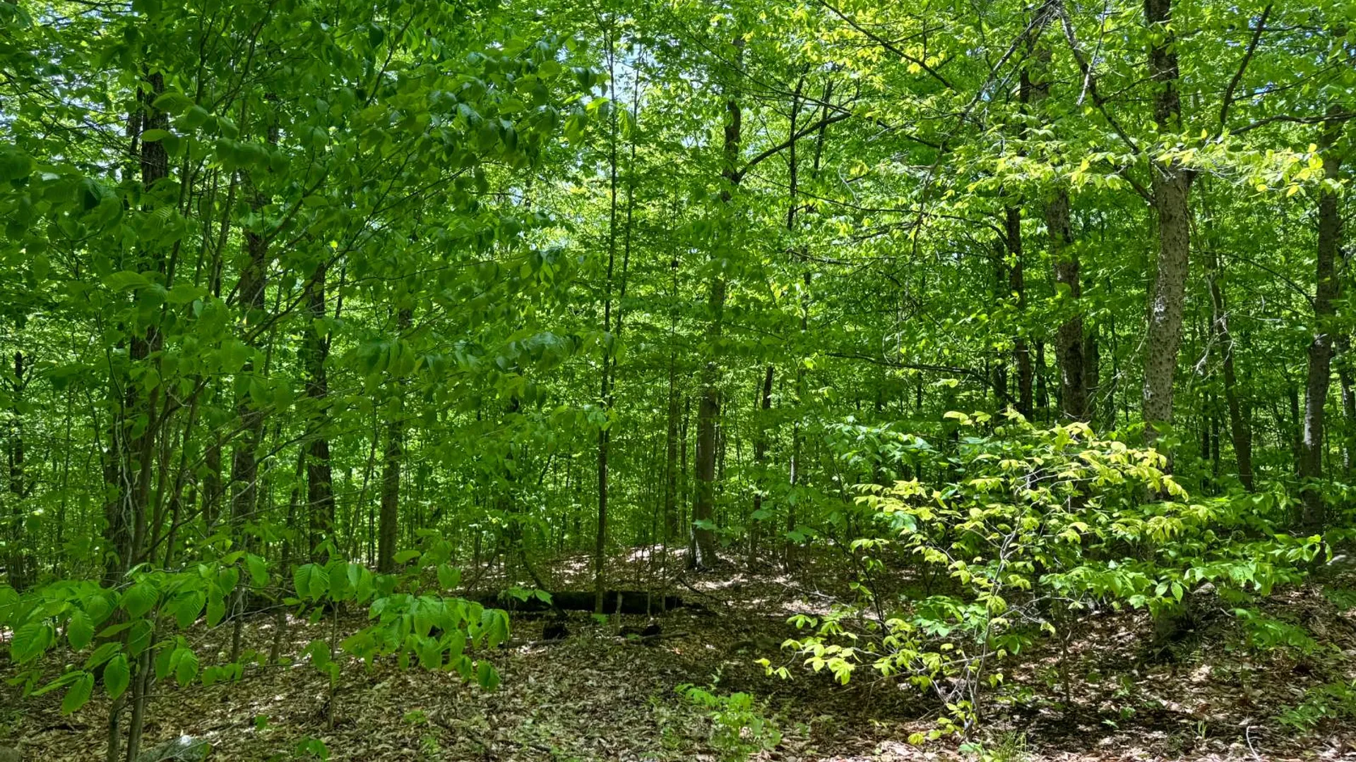 Property at 1.2 Cobble Creek Rd., Chester, NY 12853 5