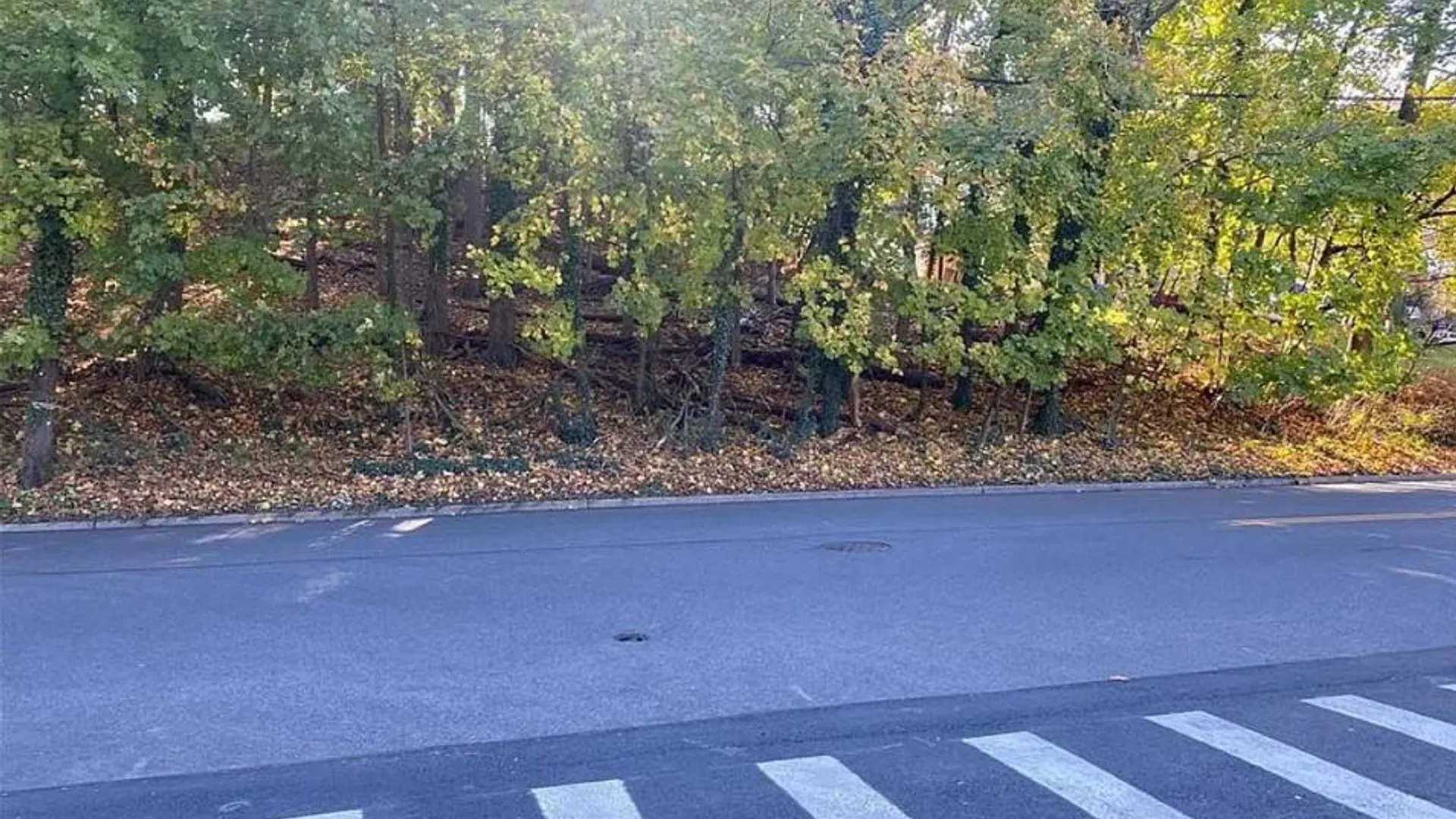 Property at 0 ASHFORD AVE, Dobbs Ferry, NY 10522 5